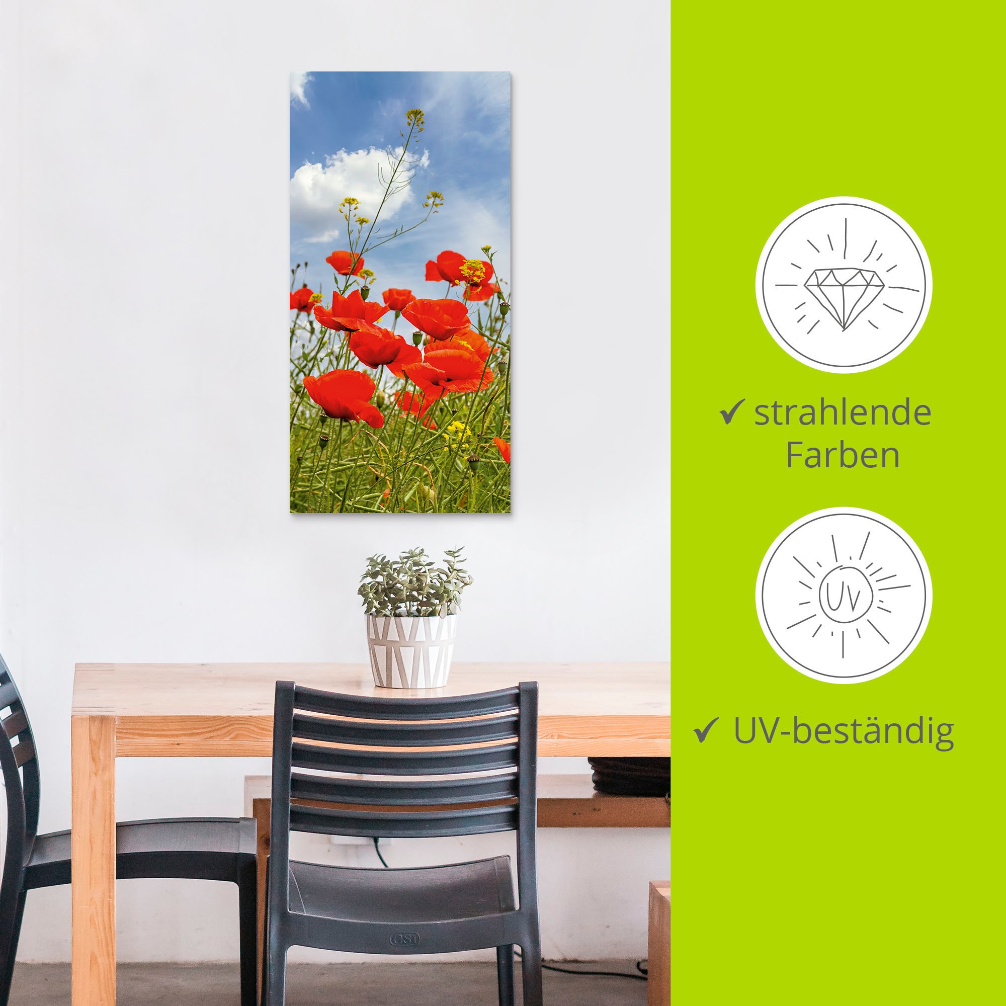Artland Alu-Dibond-Druck »Mohnblumen im Panorama« Blumenbilder 1 Stk. tlg. für Innen- und Außenbereich geeignet, Outdoorbild