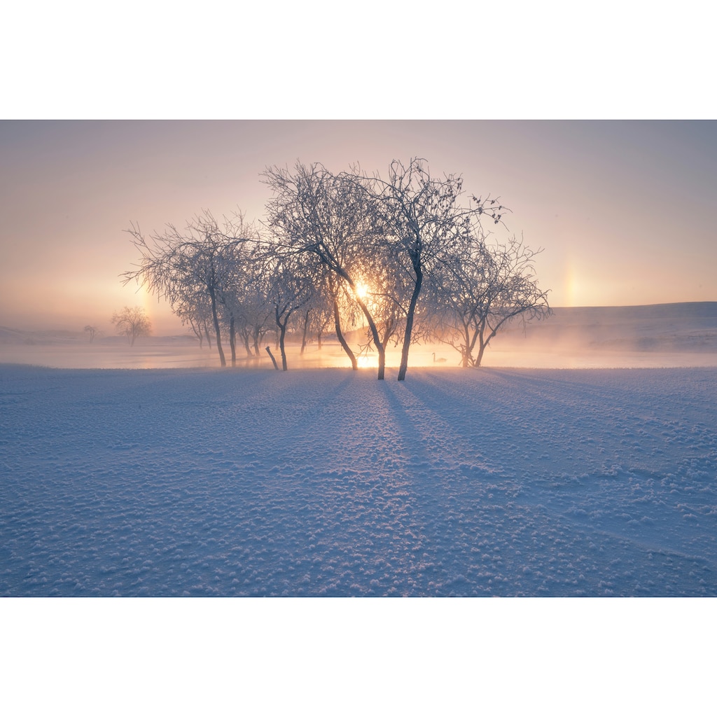 Papermoon Fototapete »Photo-Art BINGO Z, SCHNEELANDSCHAFT IM WINTER«