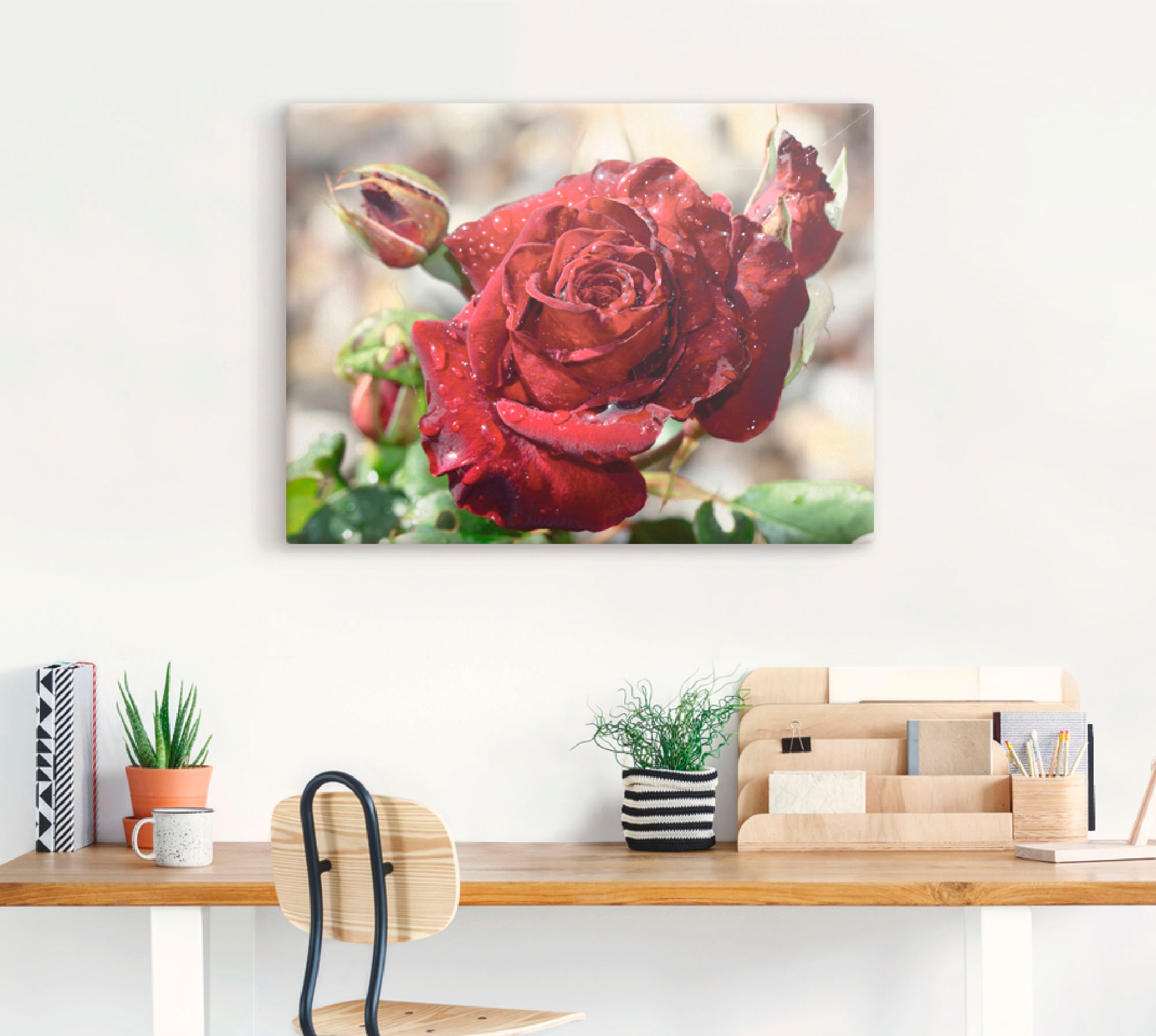 Artland Wandbild »Tröpfchenrose«, Blumen, (1 St.), als Leinwandbild, Poster, Wandaufkleber in verschied. Größen