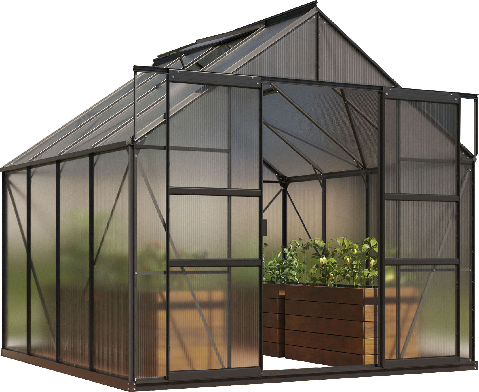 Vitavia Gewächshaus »Mars 6700« Alu-Profile in schwarz, Größe B/H/T: 257 cm x 231,8 cm x 258 cm