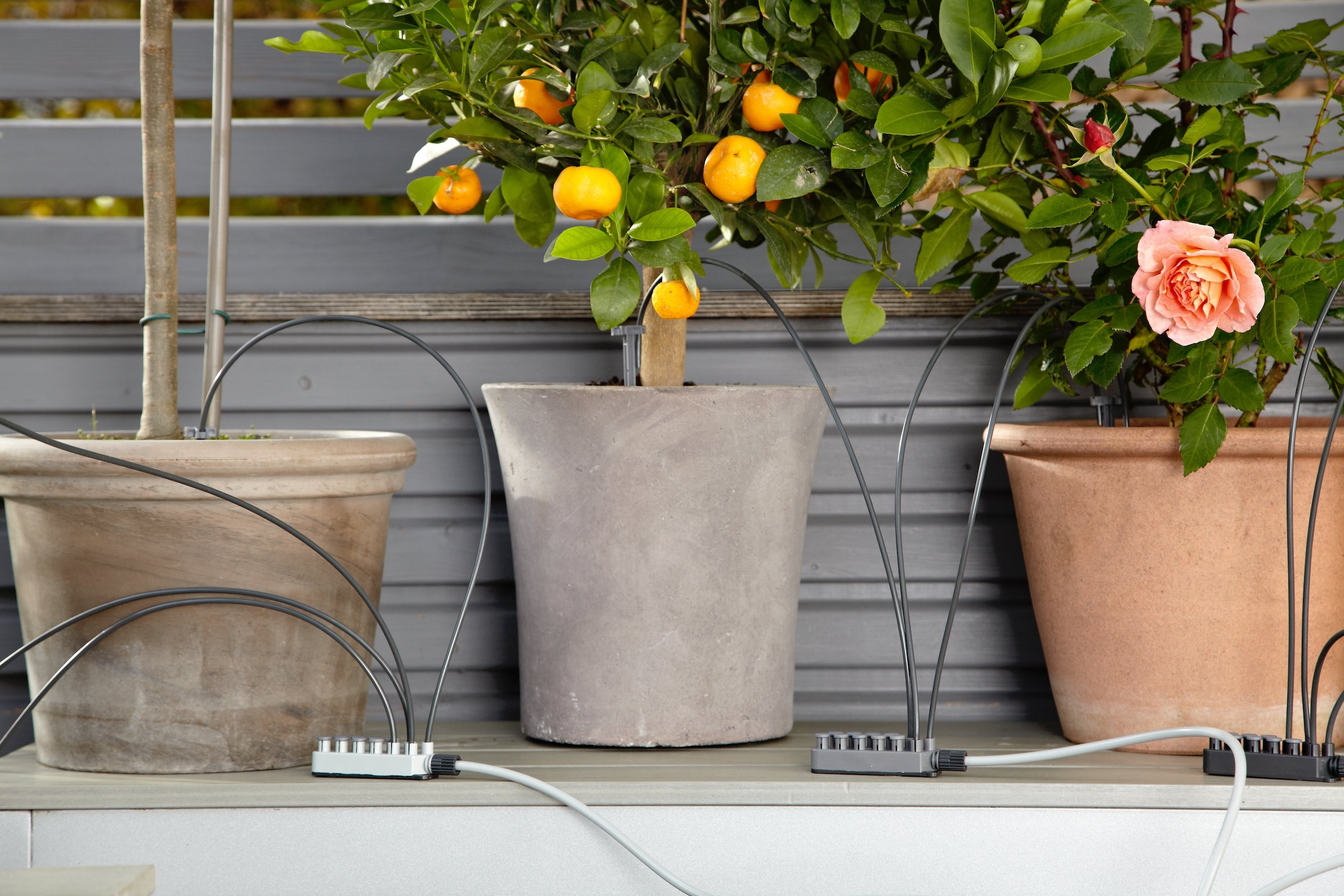 GARDENA Bewässerungssystem »Urlaubsbewässerung Set« ()  Automatische Bewässerung von bis zu 36 Zimmerpflanzen