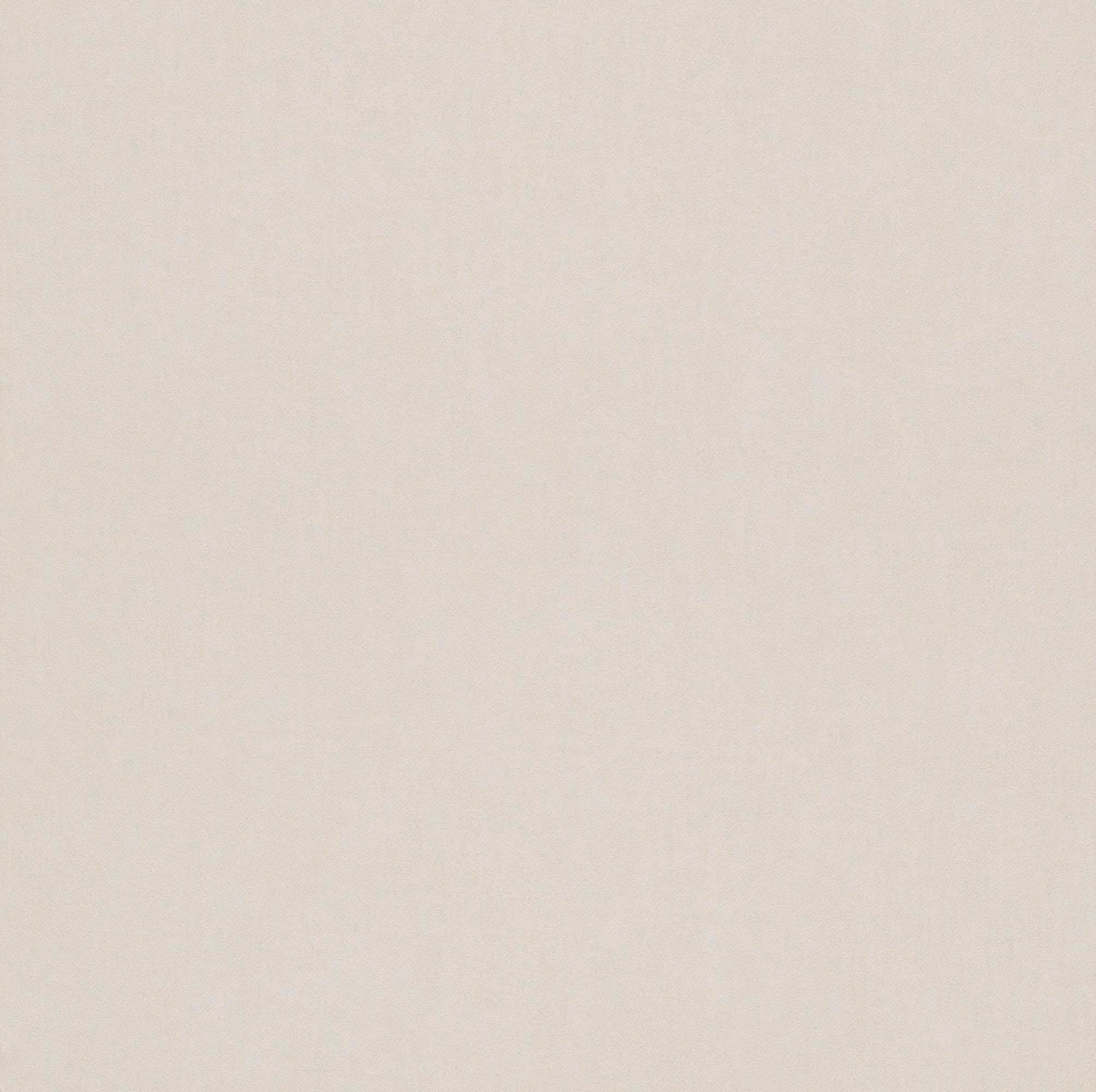 Rasch Papiertapete »Kids & Teens III«, uni