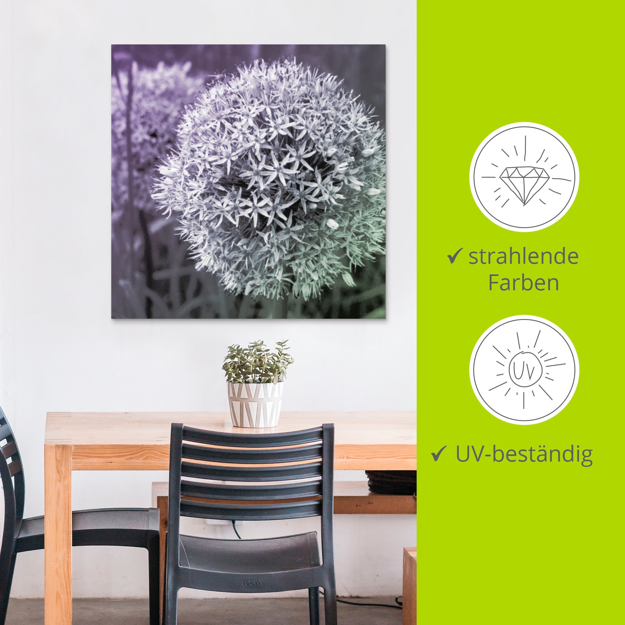 Artland Wandbild »Lila Sensation I«, Blumen, (1 St.), als Alubild, Outdoorbild, Leinwandbild, Poster, Wandaufkleber