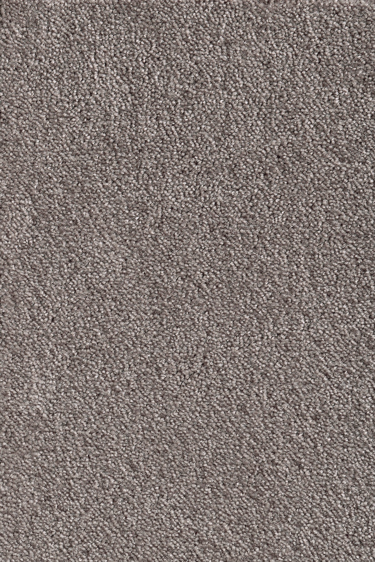 Andiamo Teppichboden »Levin schlammfarben«, rechteckig, 10 mm Höhe, Meterware, Breite 500 cm, uni, schallschluckend