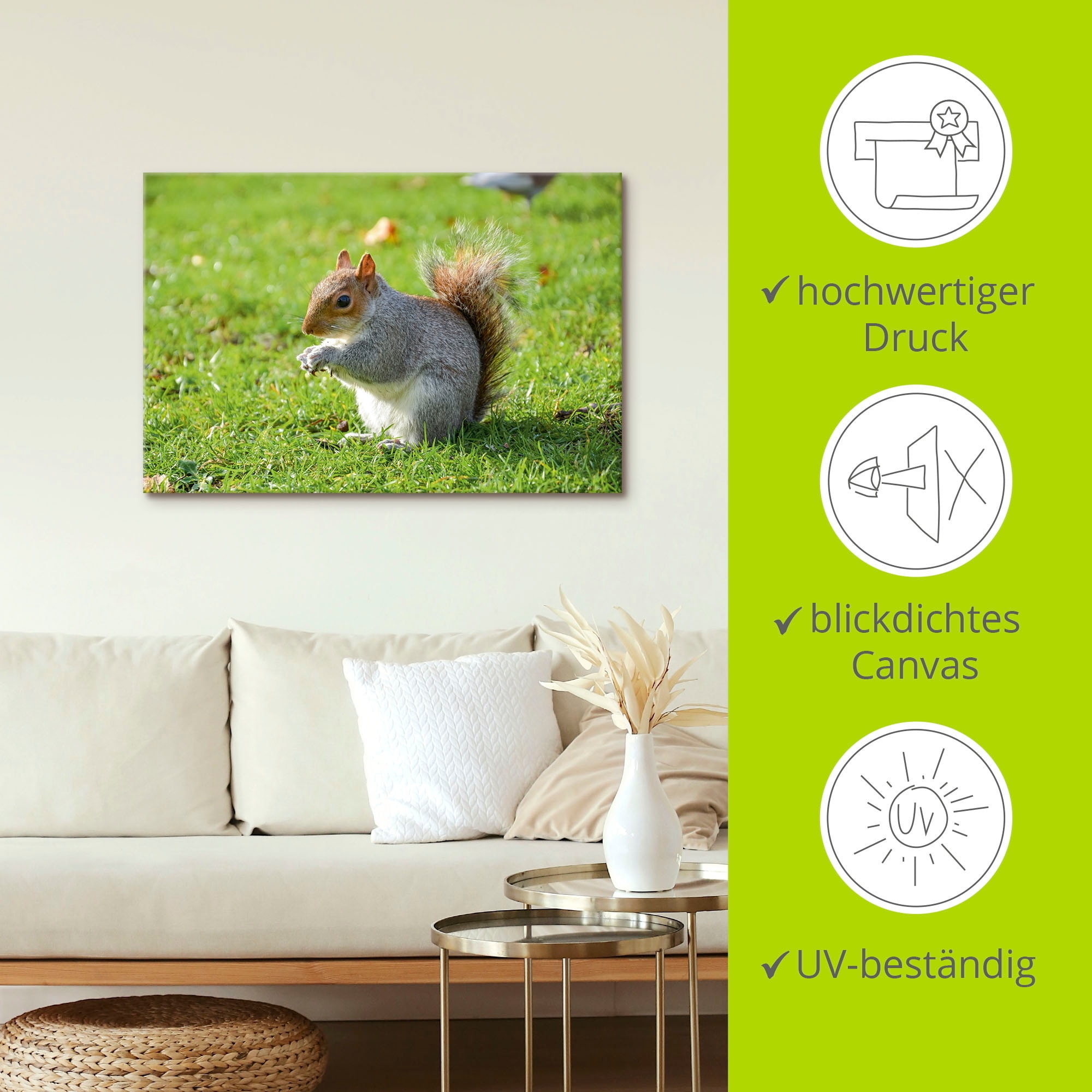 Artland Leinwandbild »Graues Eichhörnchen«, Wildtiere, (1 St.), auf Keilrahmen gespannt
