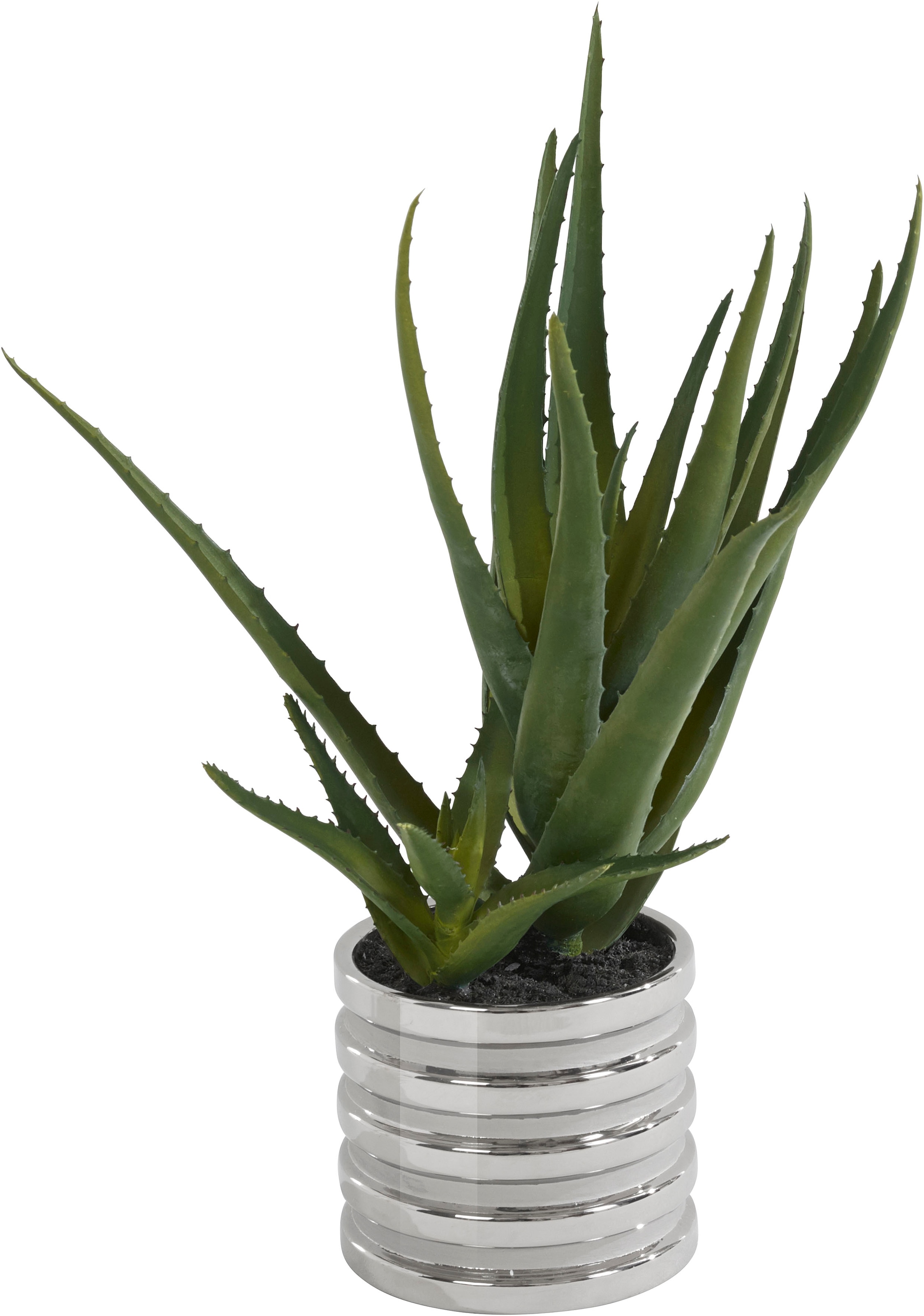 Creativ green Künstliche Zimmerpflanze »Deko-Sukkulente bei kaufen online Aloe« OTTO