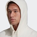 adidas Performance Sweatshirt »ESSENTIALS BIG LOGO HOODIE«