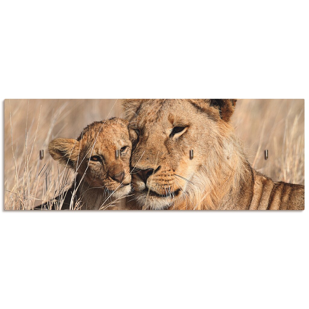 Artland Hakenleiste »Großer Löwenbruder«