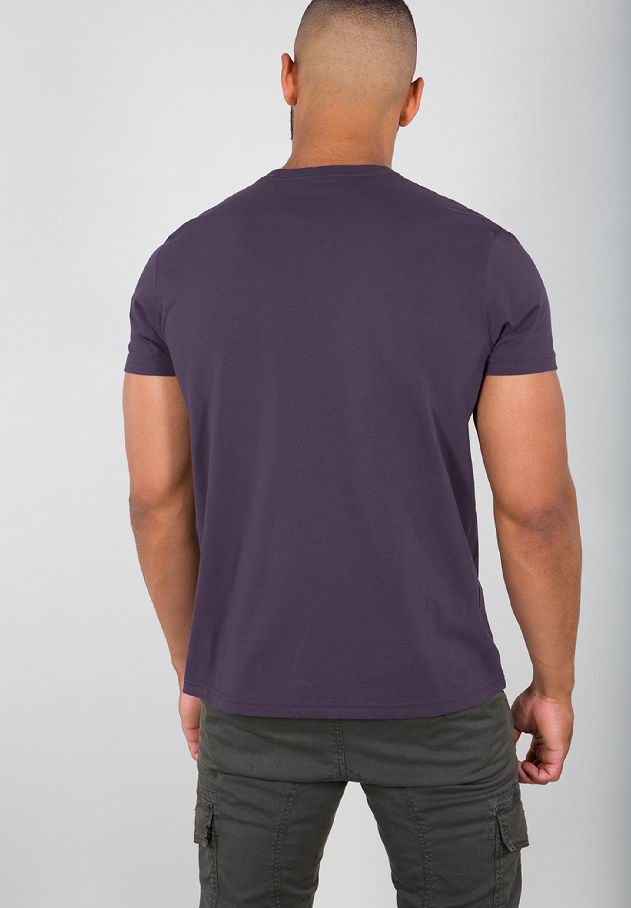 Alpha Industries T-Shirt »Alpha Industries Men - T-Shirts Refl. Stripes T«
