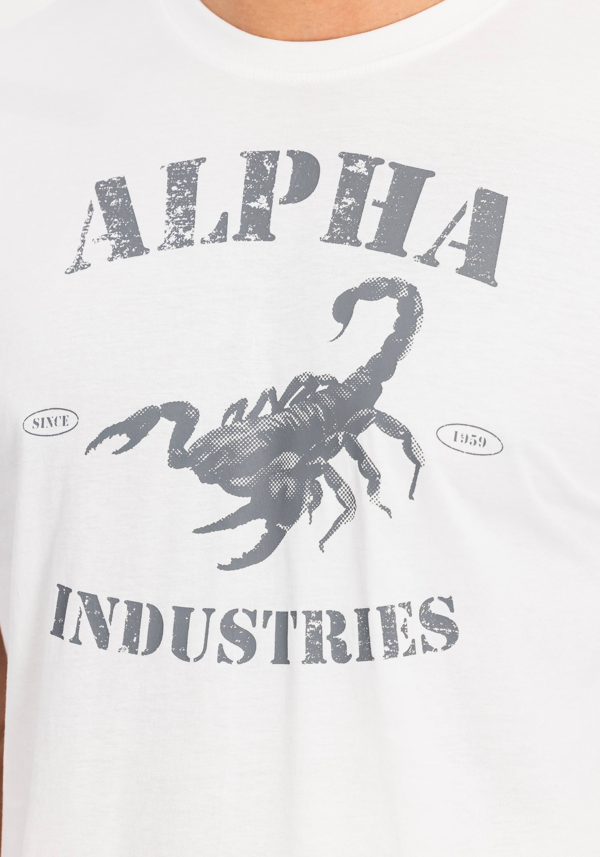 Alpha Industries T-Shirt »Scorpion T-Shirt«