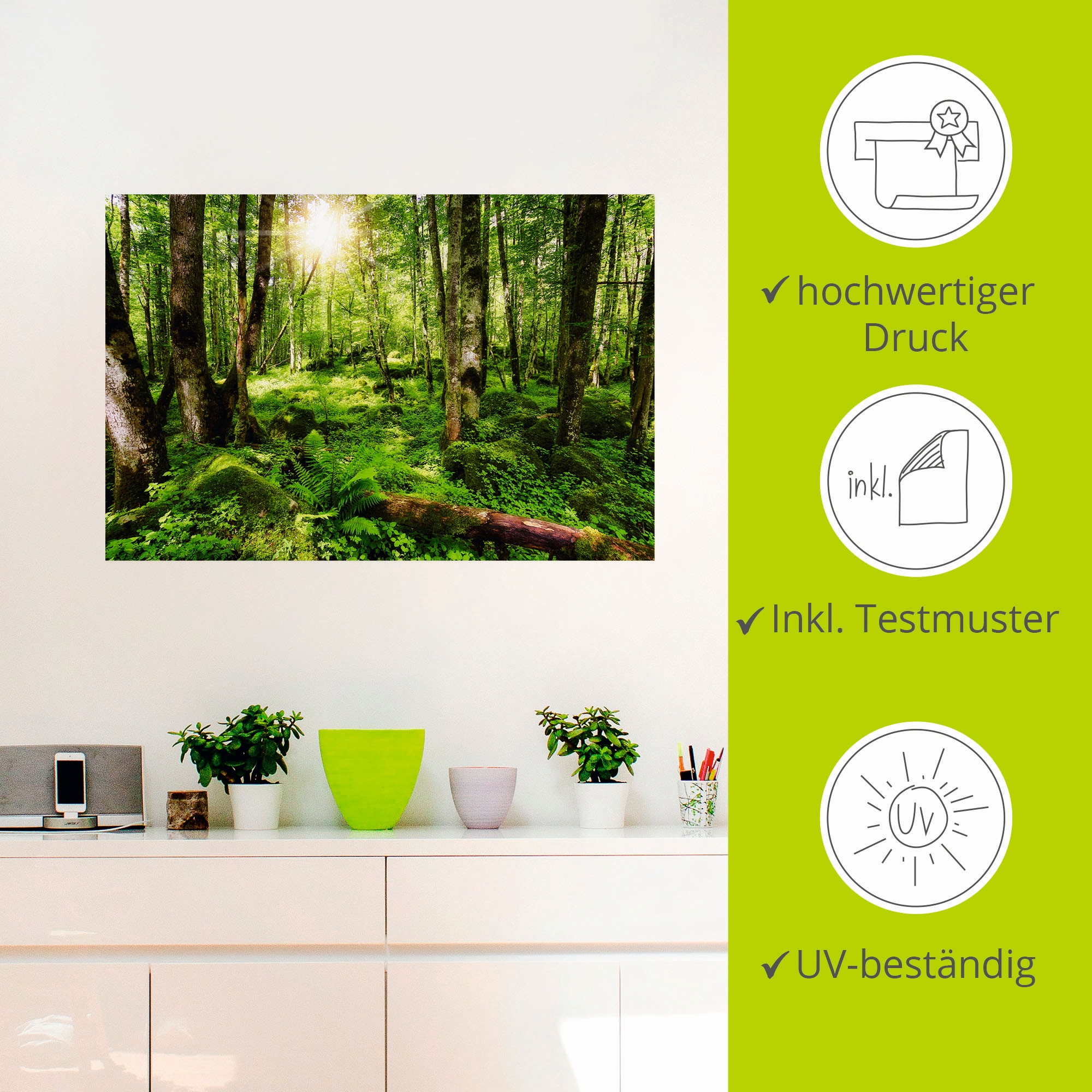 Artland Wandbild »Wald«, Wald, (1 St.), als Leinwandbild, Poster, Wandaufkleber in verschied. Größen
