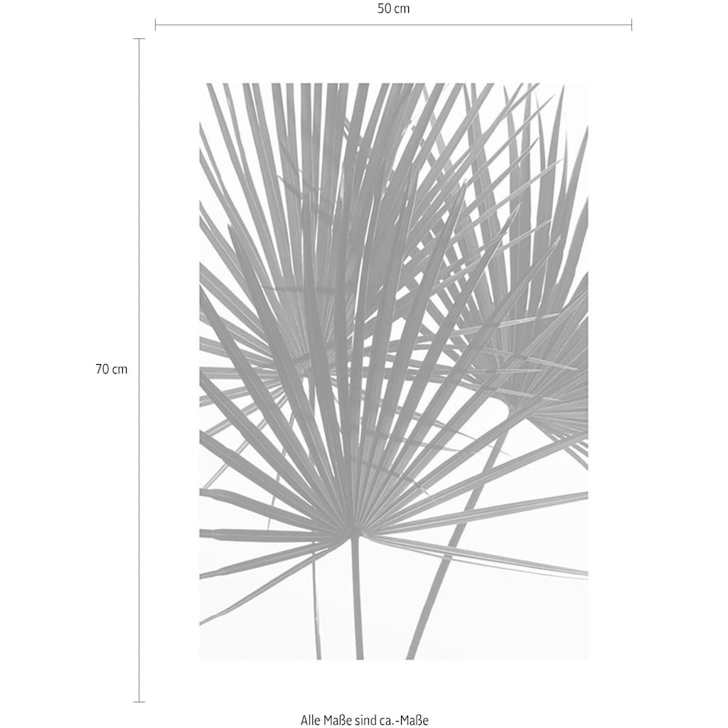 Komar Poster »Palmtree Leaves«, Pflanzen, Höhe: 70cm