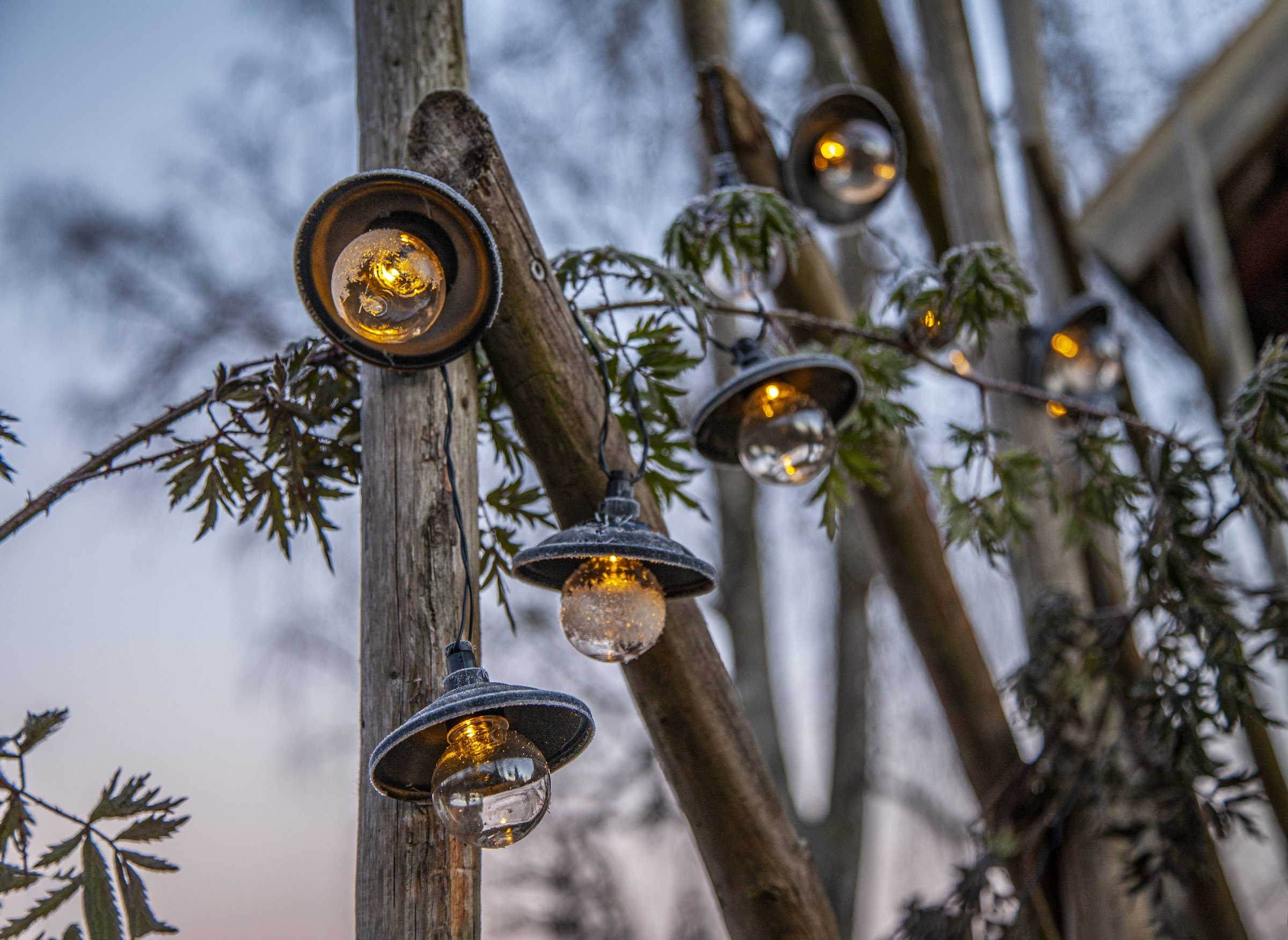Parforce Traditional Hunting LED-Lichterkette »Globe Shade« 10 Stk.-flammig ca. 1,8 m + ca. 2 m Zuleitung, Akku, outdoor, Vierfarb-Karton