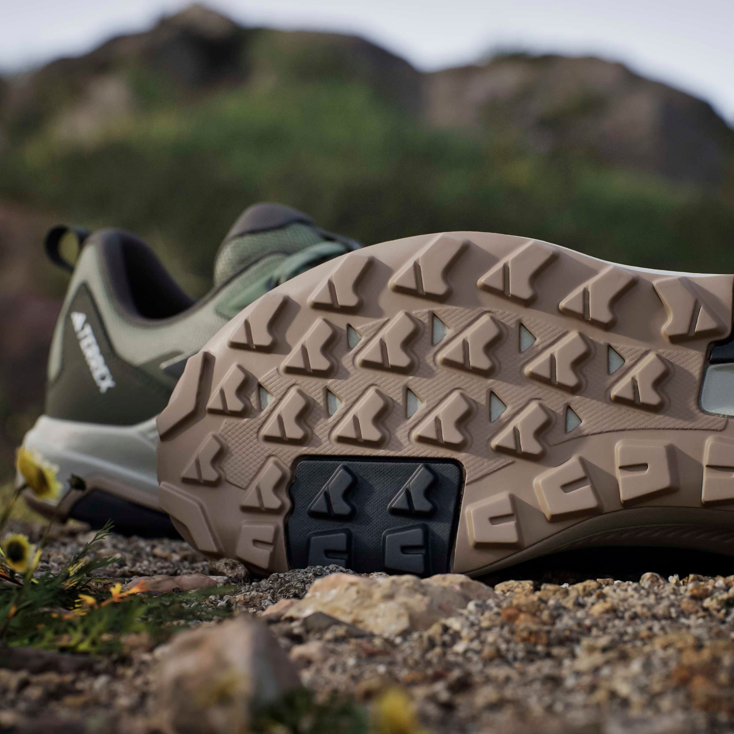 adidas TERREX Wanderschuh »ANYLANDER«