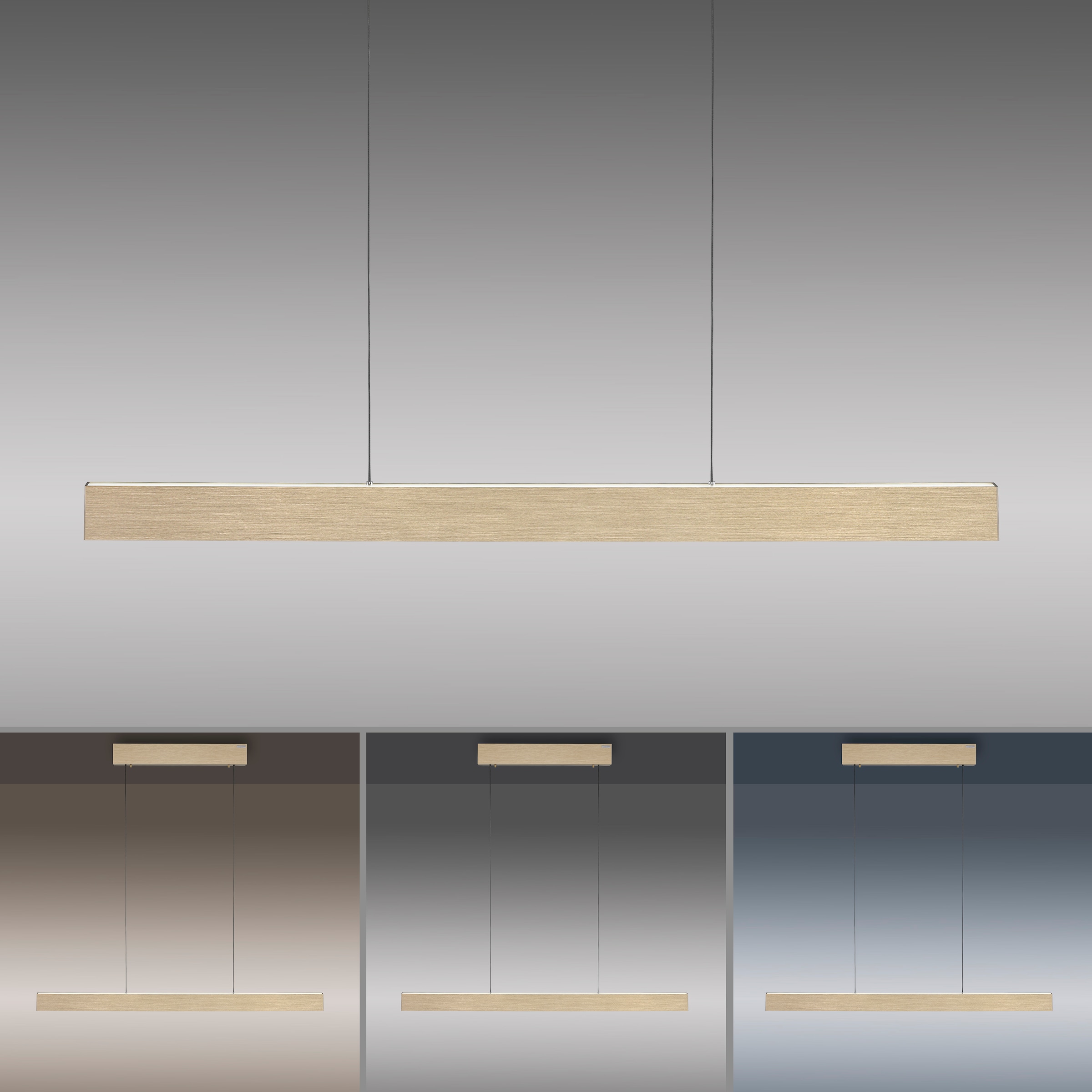 Neuhaus PURE LED Pendelleuchte »PURE E-Motion« LED-Board 1 Stk. warmweiß - kaltweiß e-LIFT® Funktion, CCT, dimmbar, Up-&Downlight