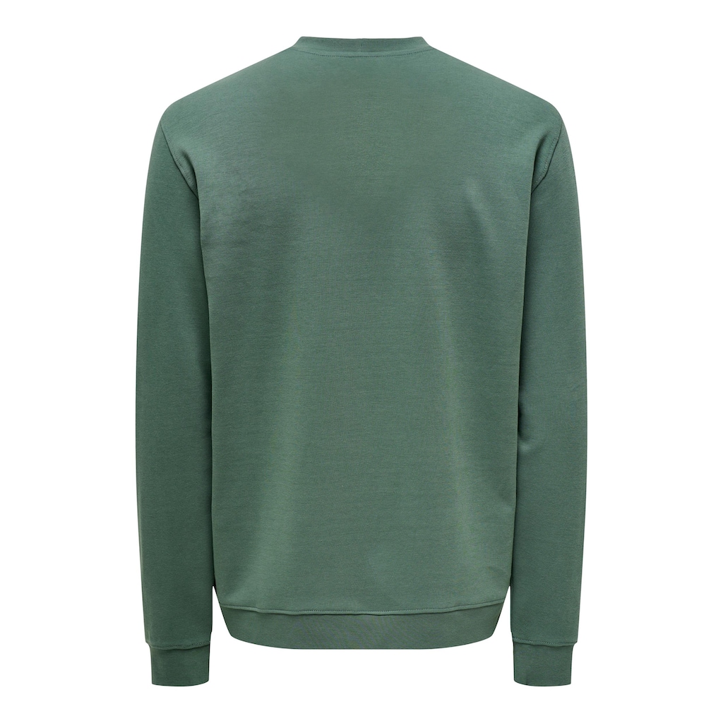 ONLY & SONS Sweatshirt »ONSLAMER REG INTERLOCK CREW NECK SWEAT«