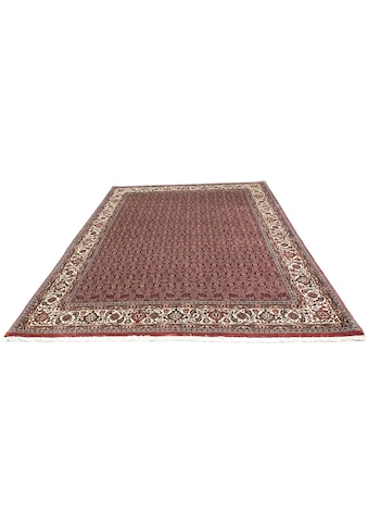 morgenland Wollteppich »Bidjar Teppich handgeknüpft rot«, rechteckig, 15 mm Höhe kaufen