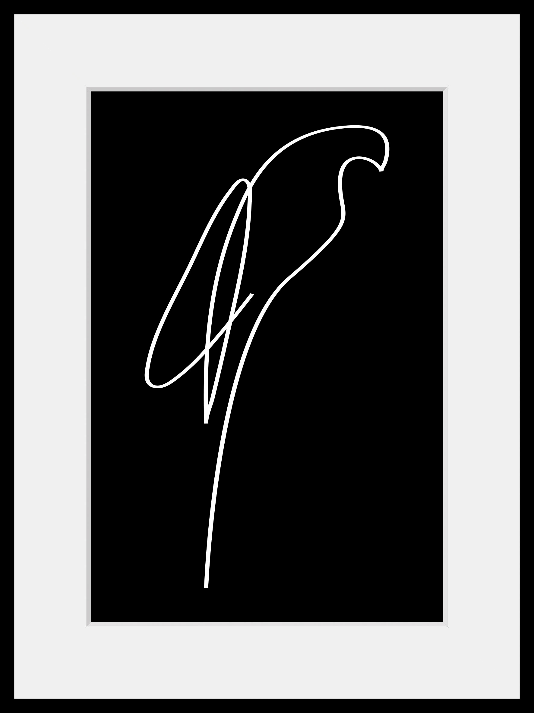 queence Bild »Julian« Kunst | Modern | Papageien | Schwarz-Weiß | Vogelbilder | Vögel 1 Stk. tlg. HD Premium Poster-Druck inkl. Holzrahmen