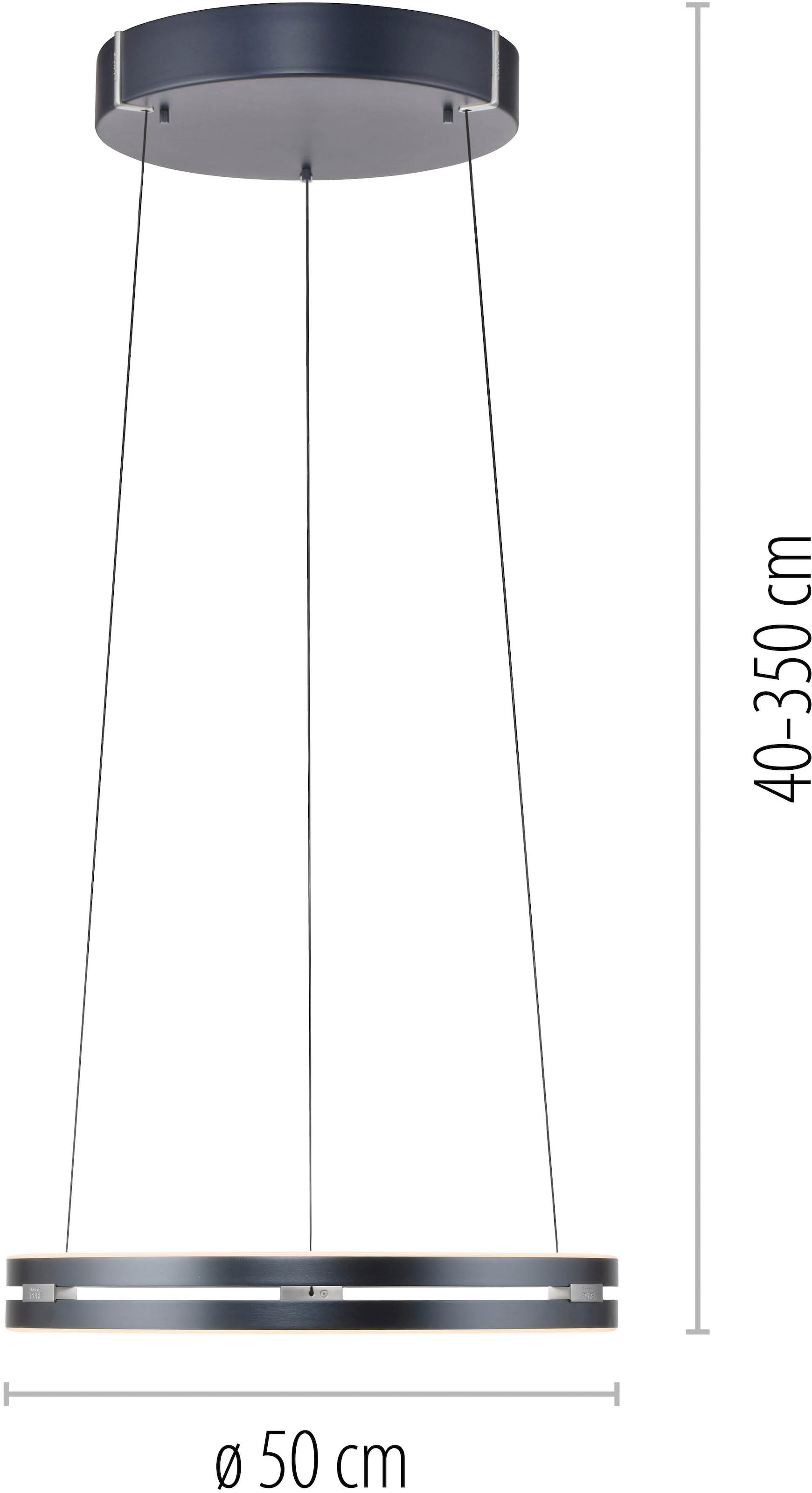 Neuhaus PURE LED Pendelleuchte »PURE E-Loop« LED-Board 1 Stk. warmweiß - kaltweiß e-LIFT® Funktion, CCT, dimmbar über Fernbedienung