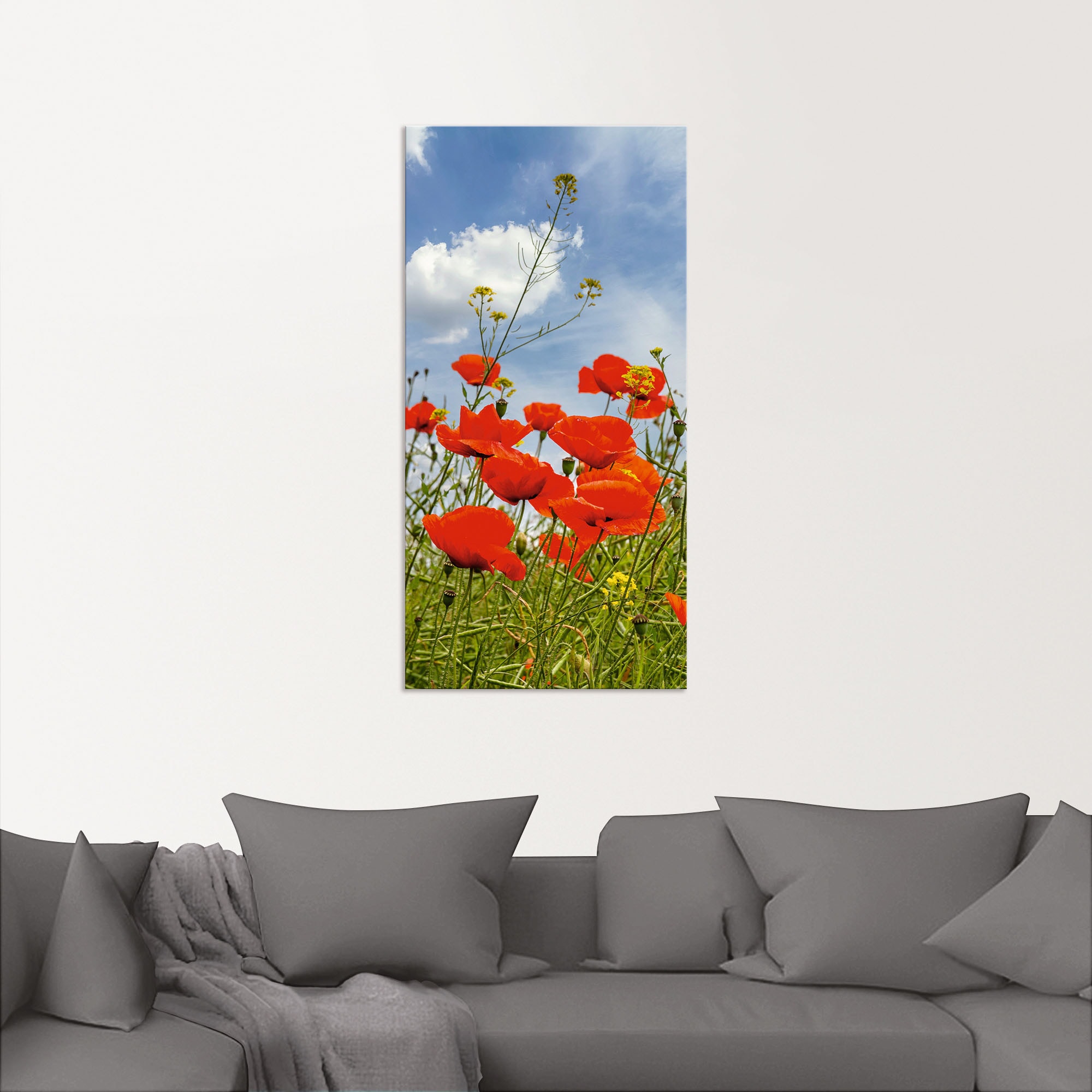 Artland Alu-Dibond-Druck »Mohnblumen im Panorama« Blumenbilder 1 Stk. tlg. für Innen- und Außenbereich geeignet, Outdoorbild