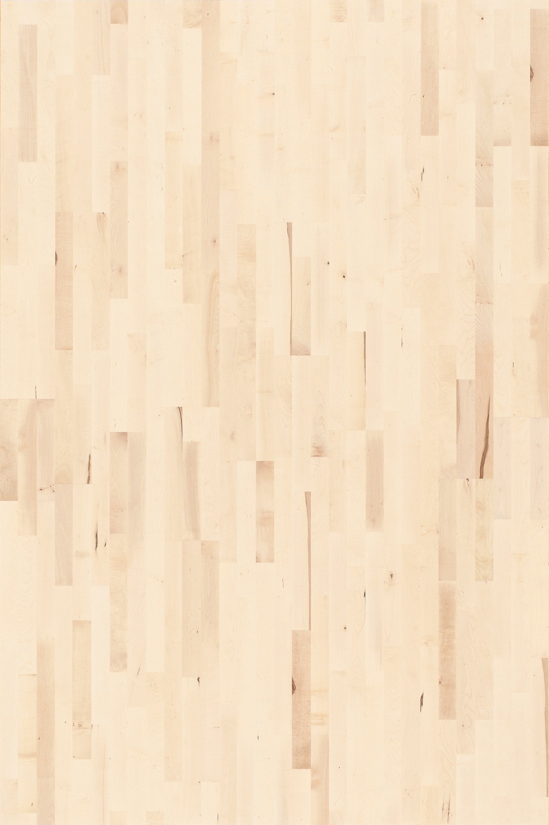 PARADOR Parkett »Basic Rustikal - Bergahorn, weiß lackiert«, (Packung), ohne Fuge, 1080 x 185 mm, Stärke: 11,5 mm, 2,2 m²