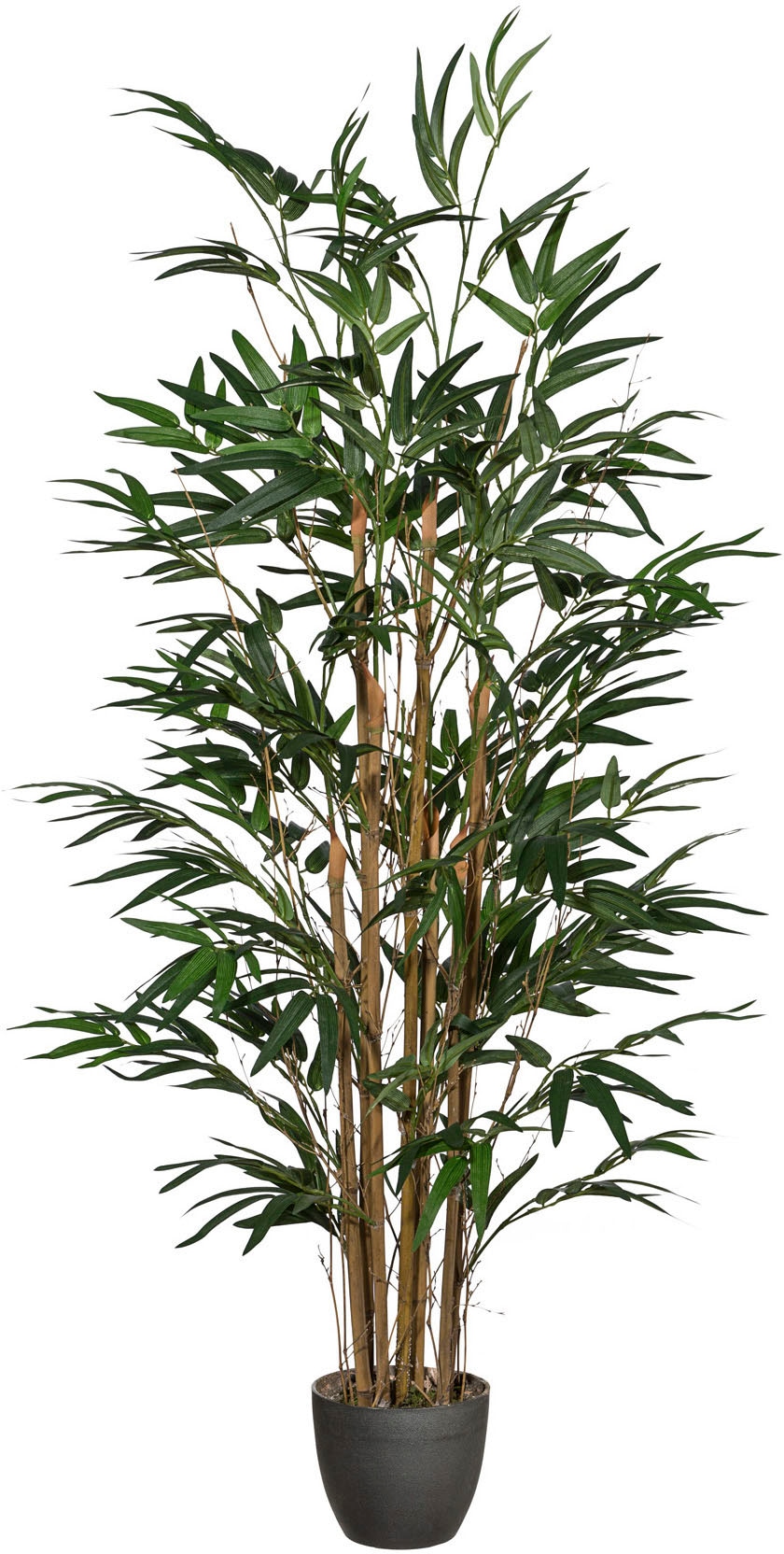 green Kunstpflanze Creativ OTTO online bei »Bambus«