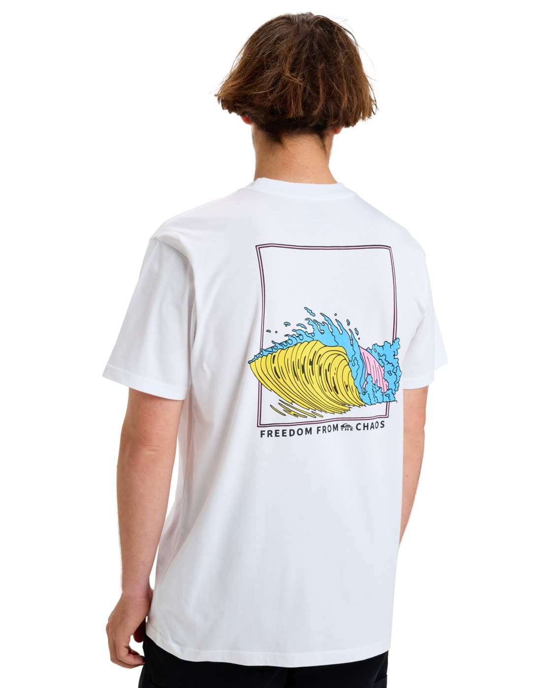 Quiksilver T-Shirt »Ev Water Connection«