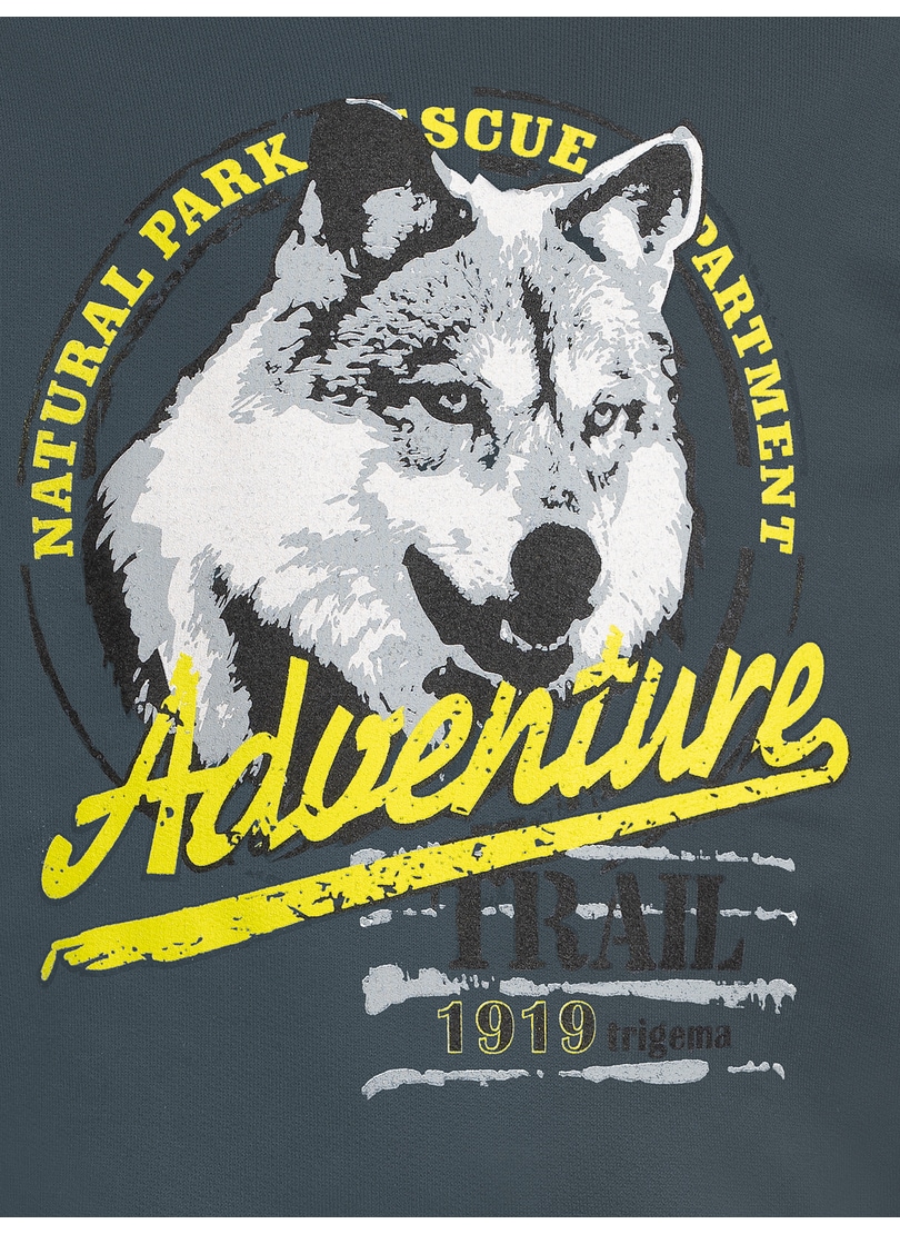 Trigema Sweatshirt »TRIGEMA Hoodie mit großem Wolf-Print«