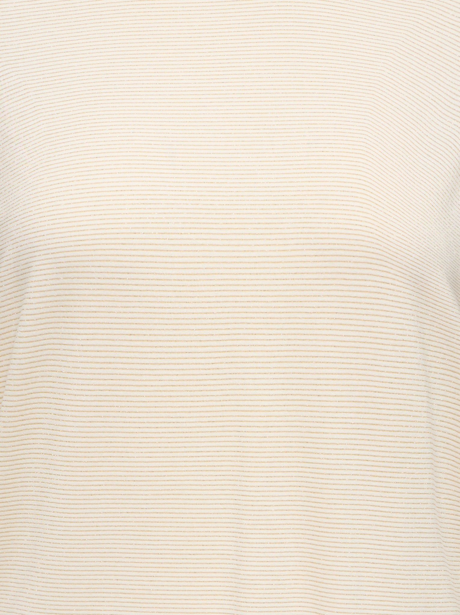 ONLY CARMAKOMA Kurzarmshirt »CARCLAUDIA LIFE S/S GLITTER TOP NOOS«