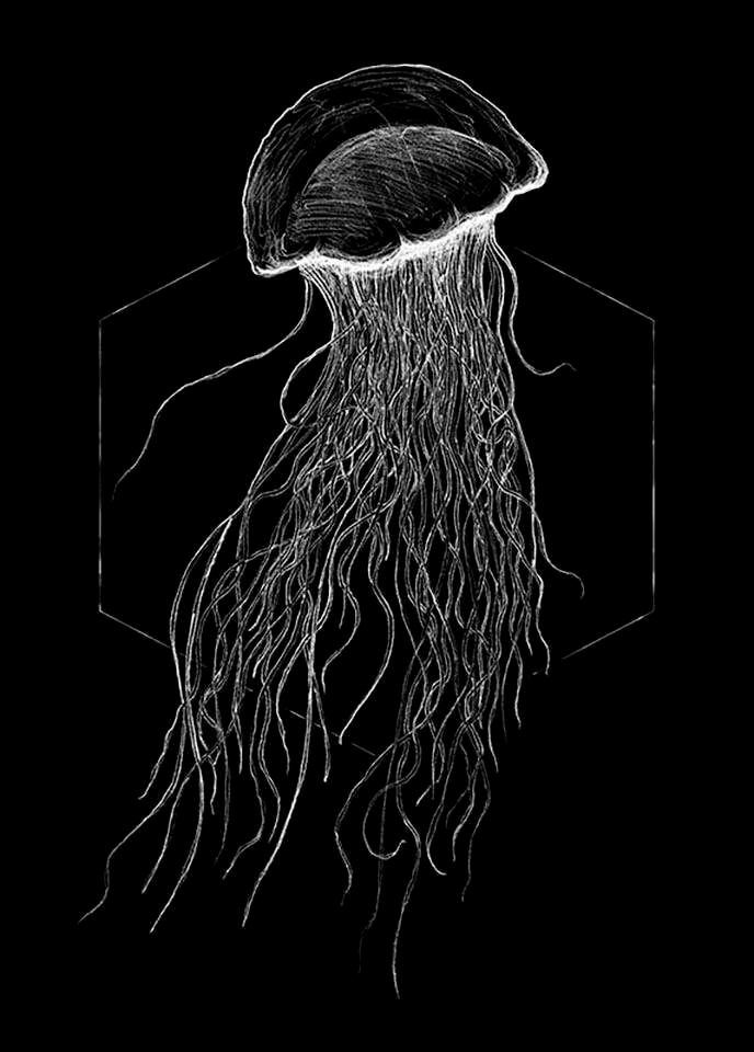 Komar Poster »Jellyfish Black«, Schlafzimmer, Wohnzimmer Kinderzimmer, bei (1 Tiere, St.), OTTO