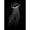 Komar Poster »Jellyfish Black«, Tiere, Höhe: 70cm