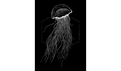 Komar Poster »Jellyfish Black«, Tiere, Höhe: 70cm kaufen