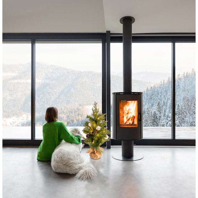 näve LED Dekoobjekt »Weihnachtsbaum«, 1 flammig-flammig, Für Aussen  geeignet (vor Haustüre),incl. Timer (6on/18off),40x LEDÂ´s bei OTTO