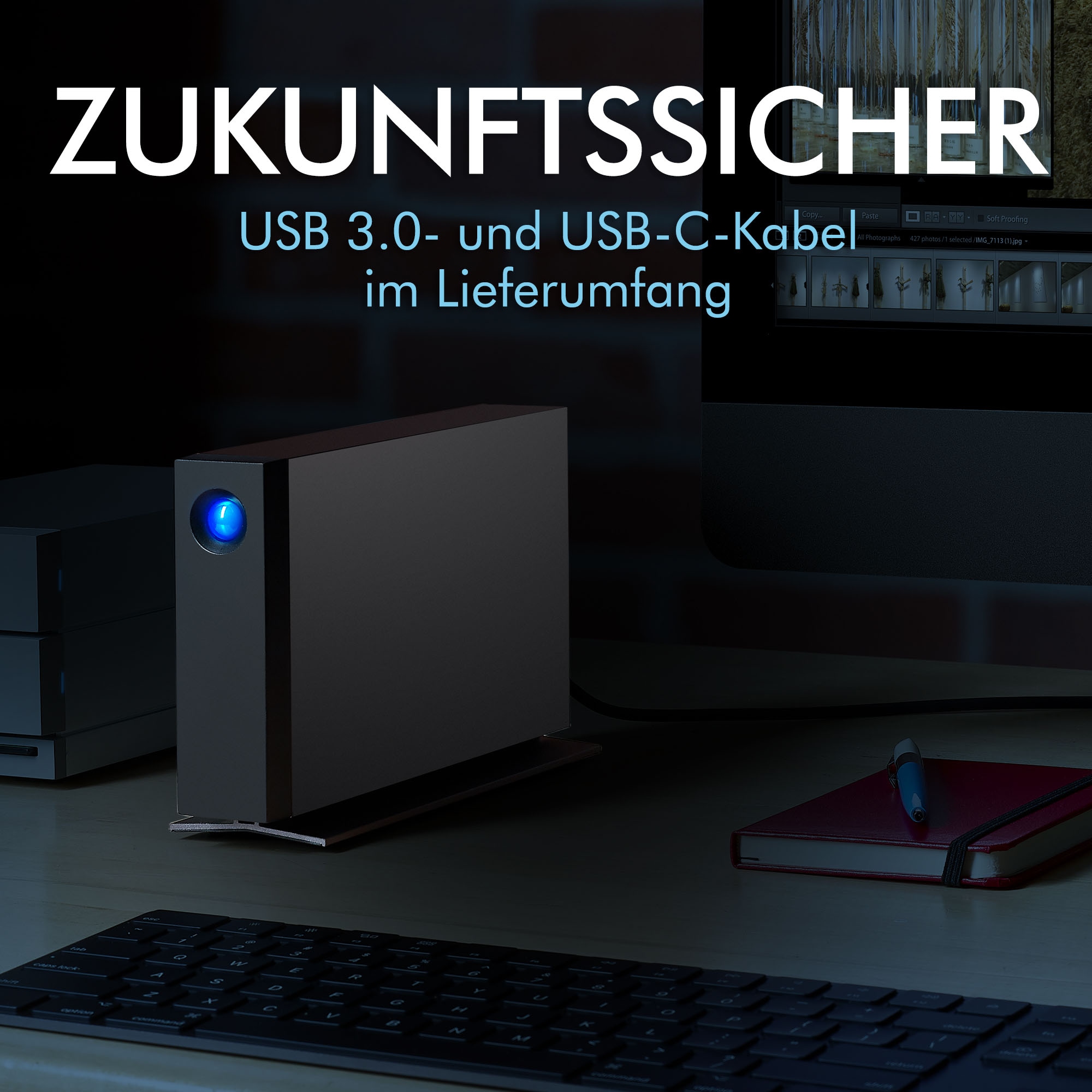 LaCie externe HDD-Festplatte »d2 Professional«, Anschluss USB-C-USB-C