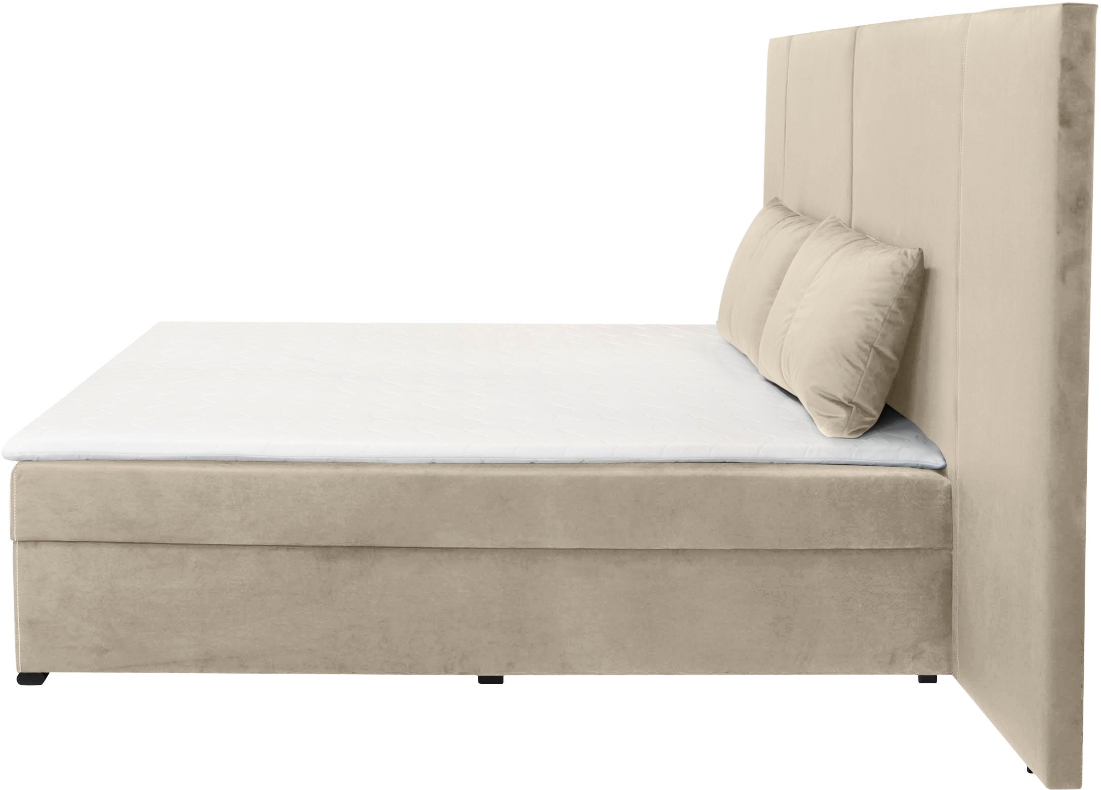 COLLECTION AB Boxbett »30 Jahre Jubiläums Modell BIG«, inkl. Topper & Bettkasten, wahlweise H2,H3,H4