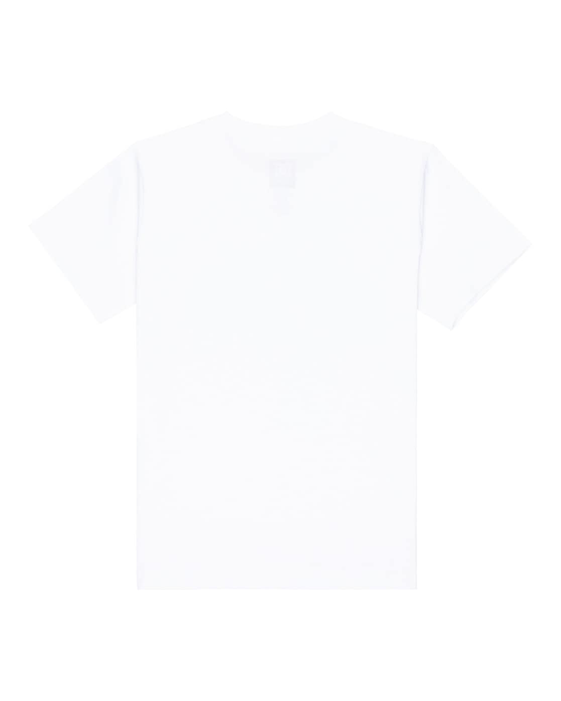 DC Shoes T-Shirt »DC Star Reflective«