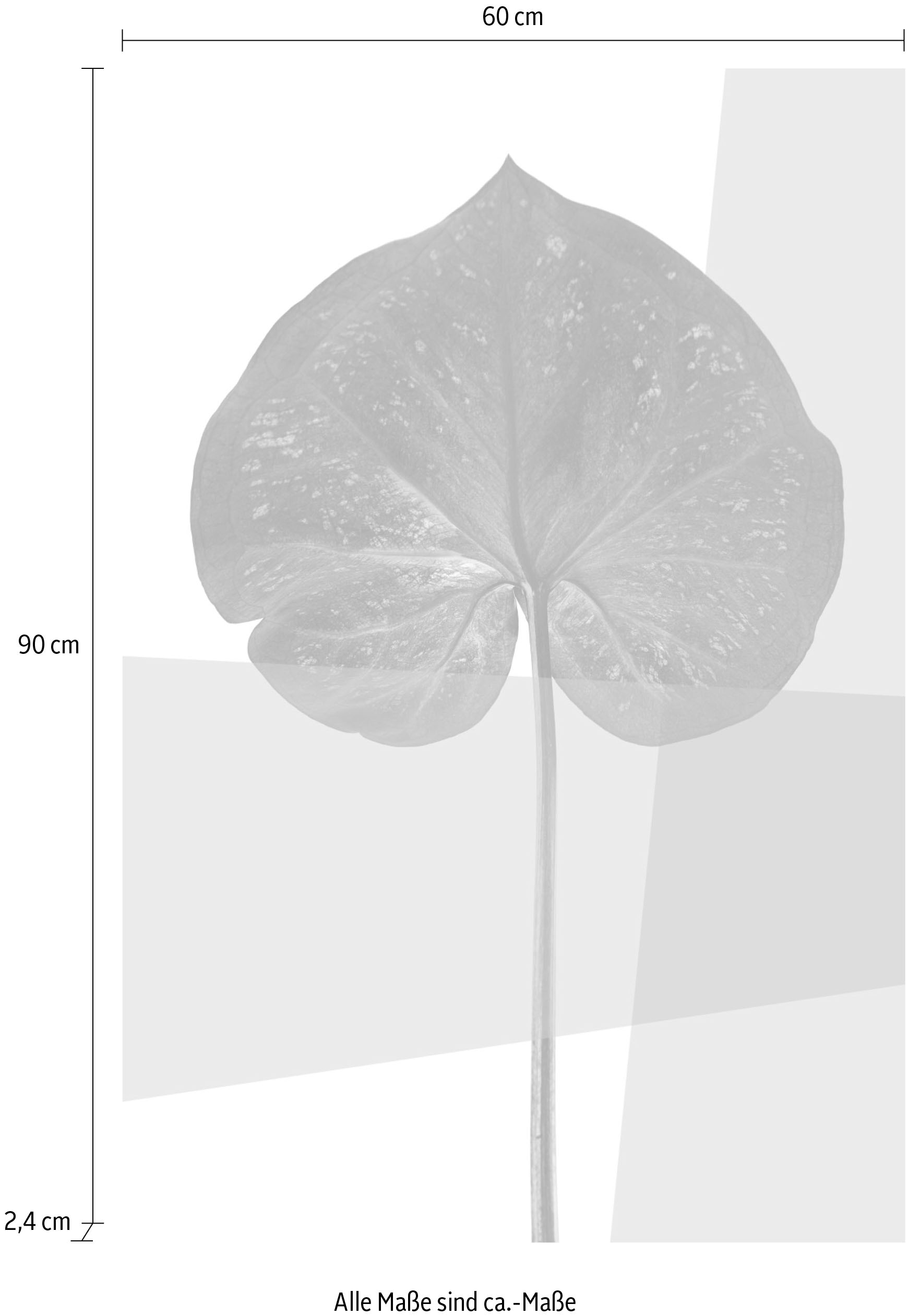 queence Acrylglasbild »Blätter« Blätter | Blätterbilder | Kunst | Pflanzen | Pflanzenbilder Fine Art-Print in Galeriequalität