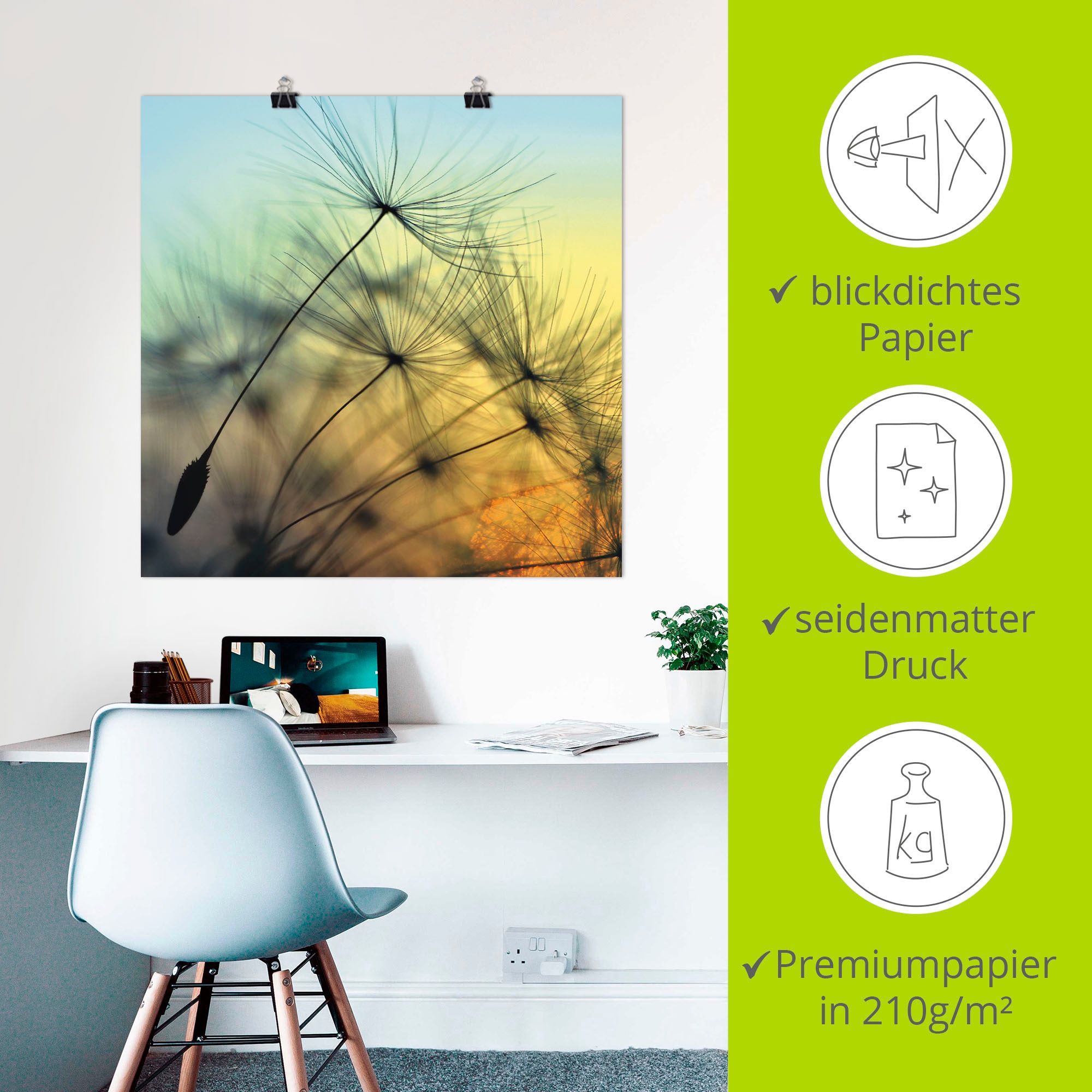 Artland Wandbild »Goldener Sonnenuntergang und Pusteblumen«, Blumen, (1 St.), als Alubild, Outdoorbild, Leinwandbild, Poster, Wandaufkleber