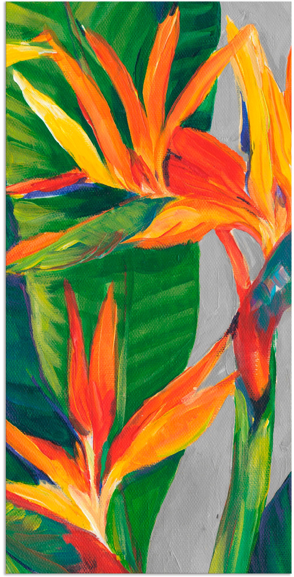 Artland Wandbild »Paradiesvogel II«, Pflanzen, (1 St.), in vielen Größen & Produktarten - Alubild / Outdoorbild für den Außenbereich, Leinwandbild, Poster, Wandaufkleber / Wandtattoo auch für Badezimmer geeignet