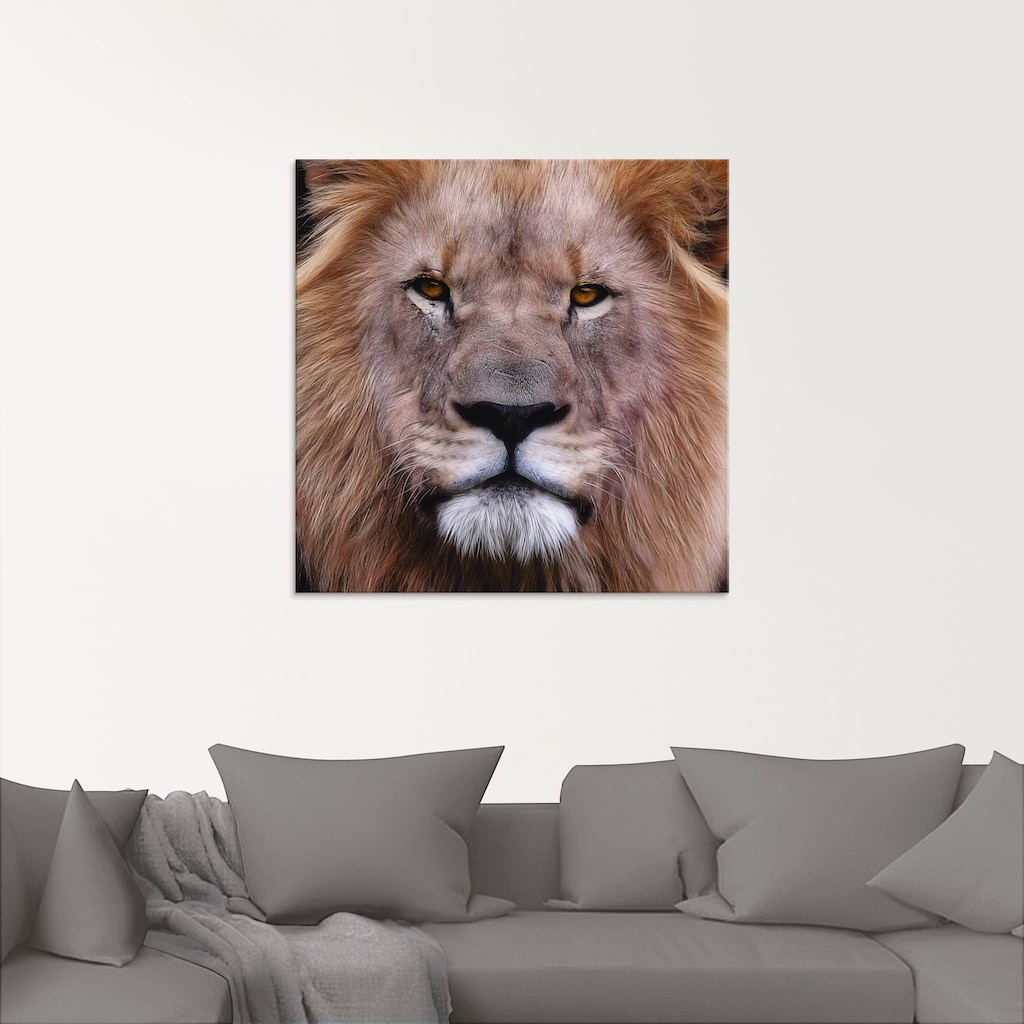 Artland Glasbild »König der Löwen«, Wildtiere, (1 St.)