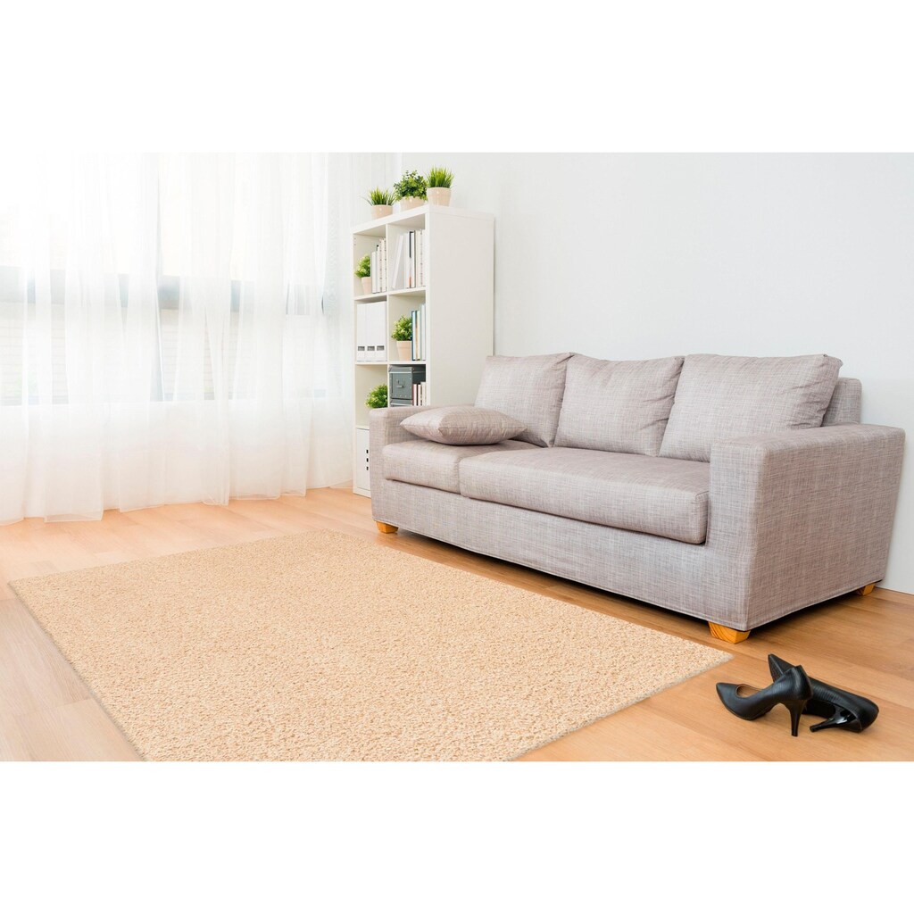 calo-deluxe Hochflor-Teppich »Plava 9979«, rechteckig