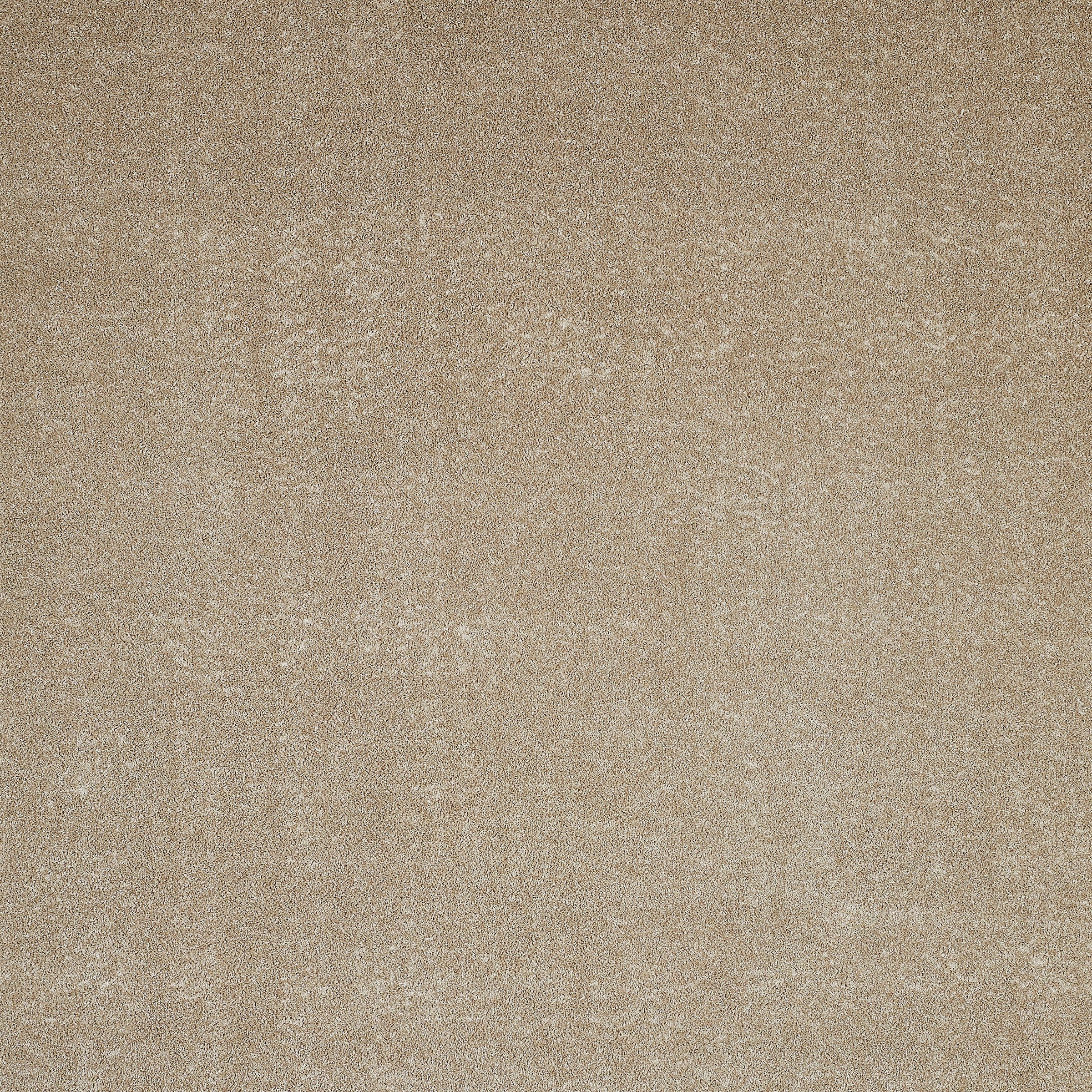 Andiamo Teppichboden »Portland, Velours, Made in Netherlands«, rechteckig, 11 mm Höhe, Uni Farben, Breite 400 cm, Wohnzimmer, strapazierfähig, pflegeleicht