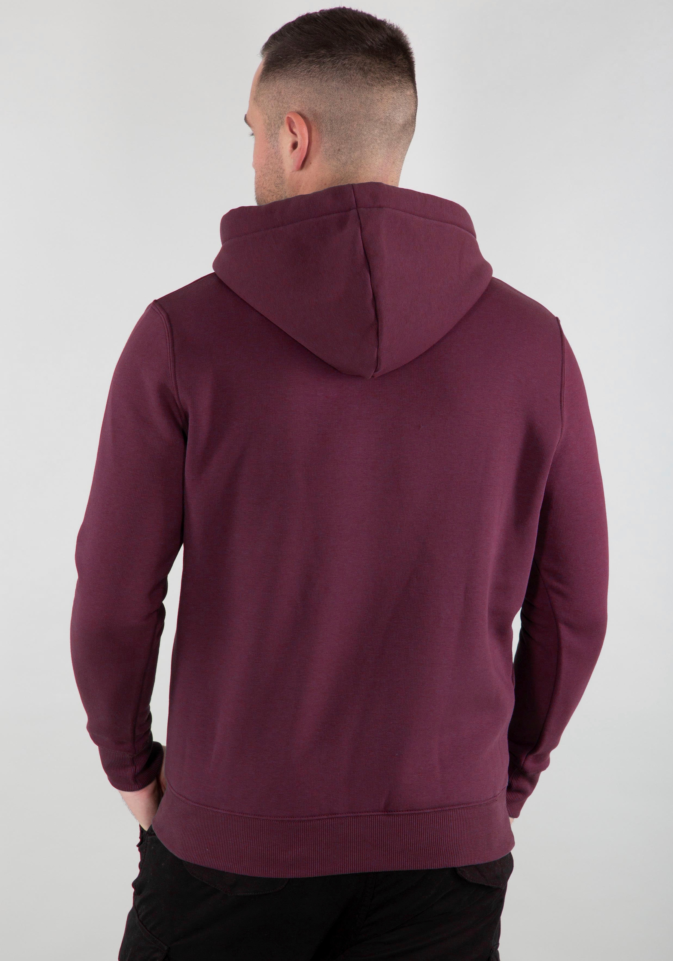 Alpha Industries Kapuzensweatshirt »Basic Hoody« bei OTTO kaufen online