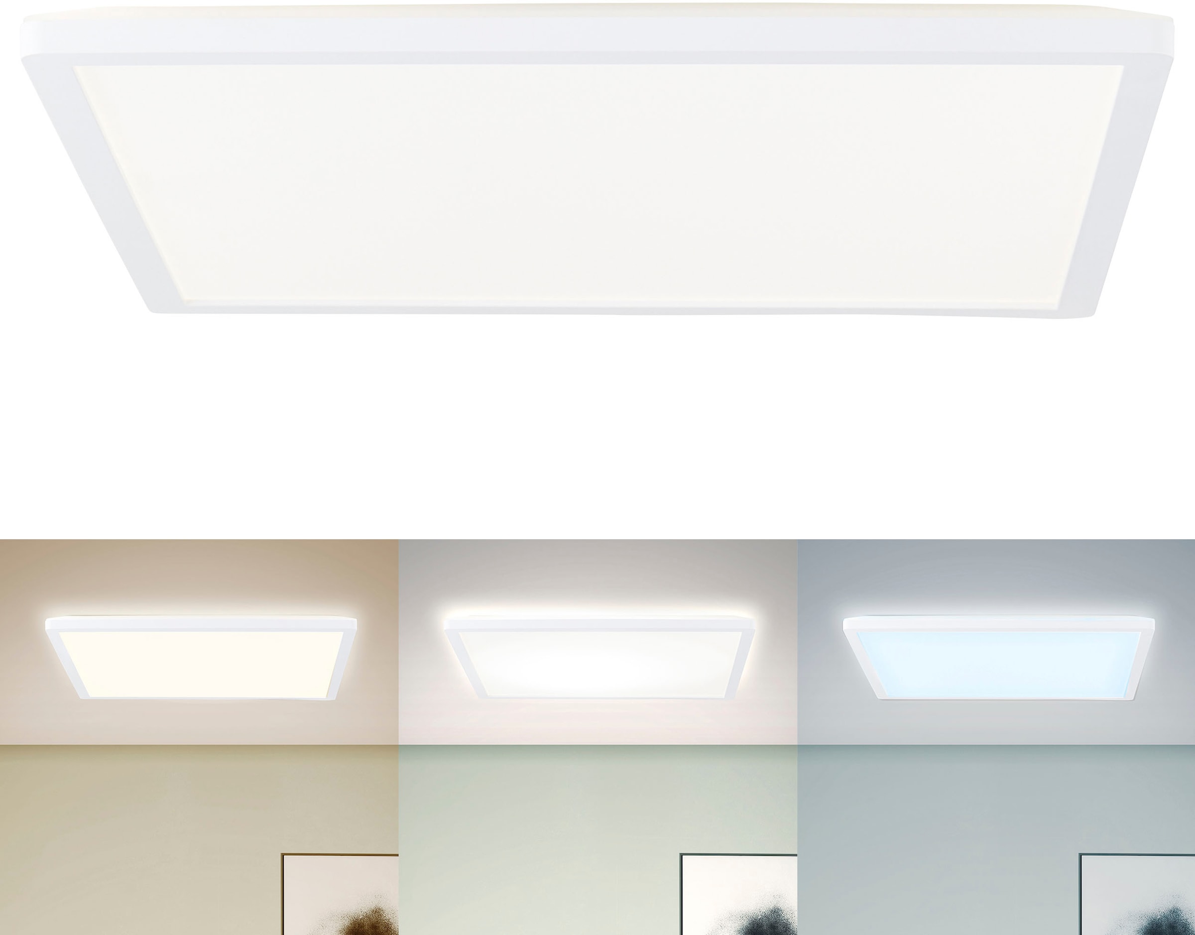 my home LED dimmbar, CCT »Enno«, Fernbedienung Farbtemperatursteuerung, 1 OTTO kaufen flammig-flammig, Lumen, bei inkl. Deckenleuchte 2300