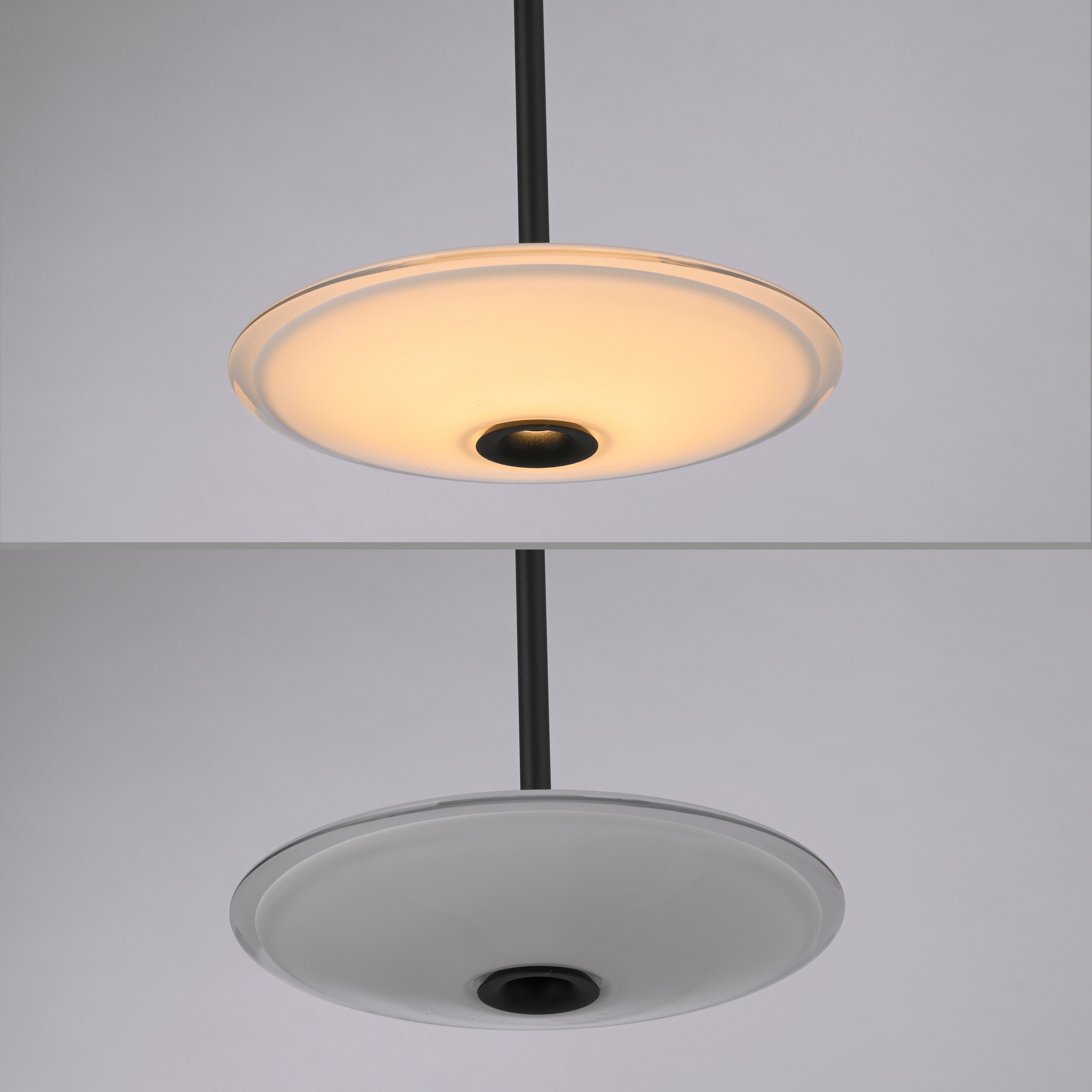 Paul Neuhaus LED Pendelleuchte »ELIPSA« LED-Board 1 Stk. Warmweiß Dimmfähig über separaten Tronicdimmer, Comfort-Lift