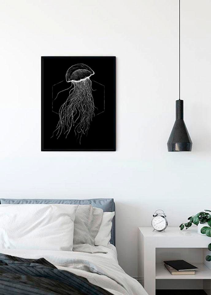 Komar Poster »Jellyfish Black«, Tiere, (1 St.), Kinderzimmer, Schlafzimmer,  Wohnzimmer bei OTTO