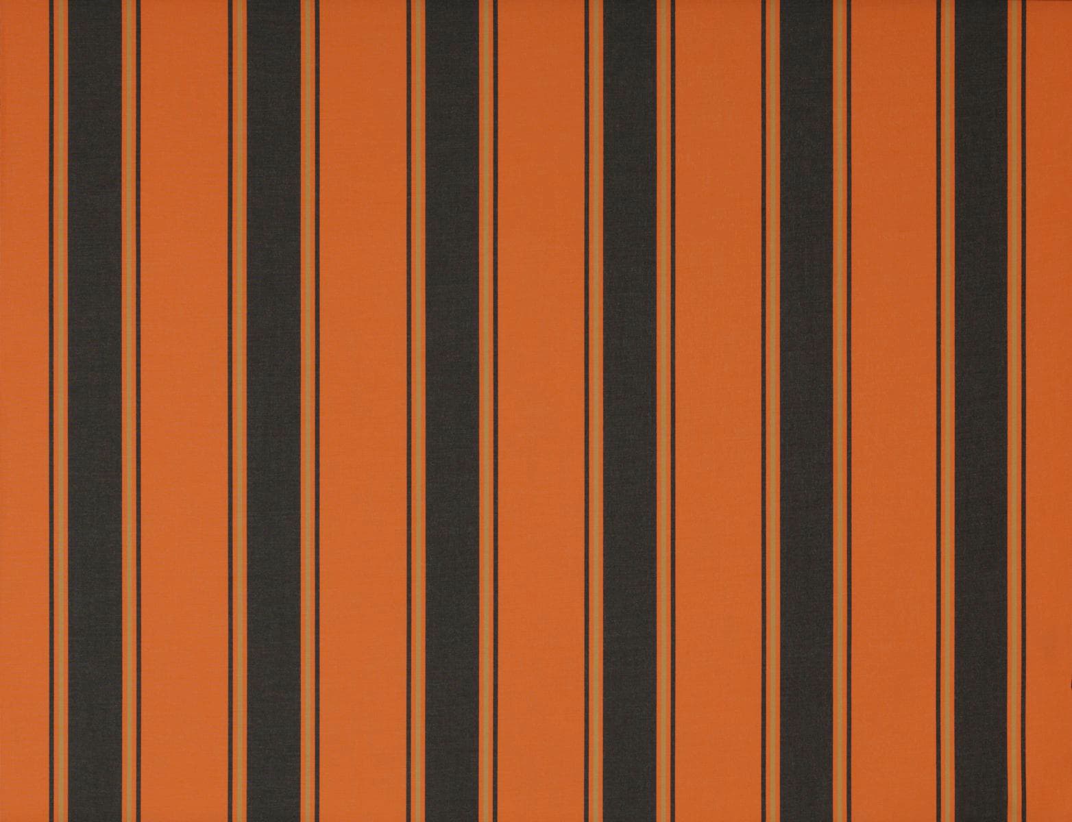 Wismar Kassettenmarkise »Classic S-Compact«, Breite: 550 cm, Ausfall: 250 cm