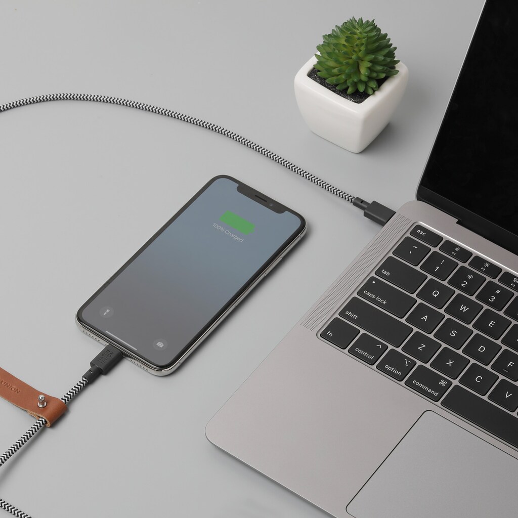 NATIVE UNION Lightningkabel »Native Union Belt Cable«, Lightning, USB-C, 120 cm