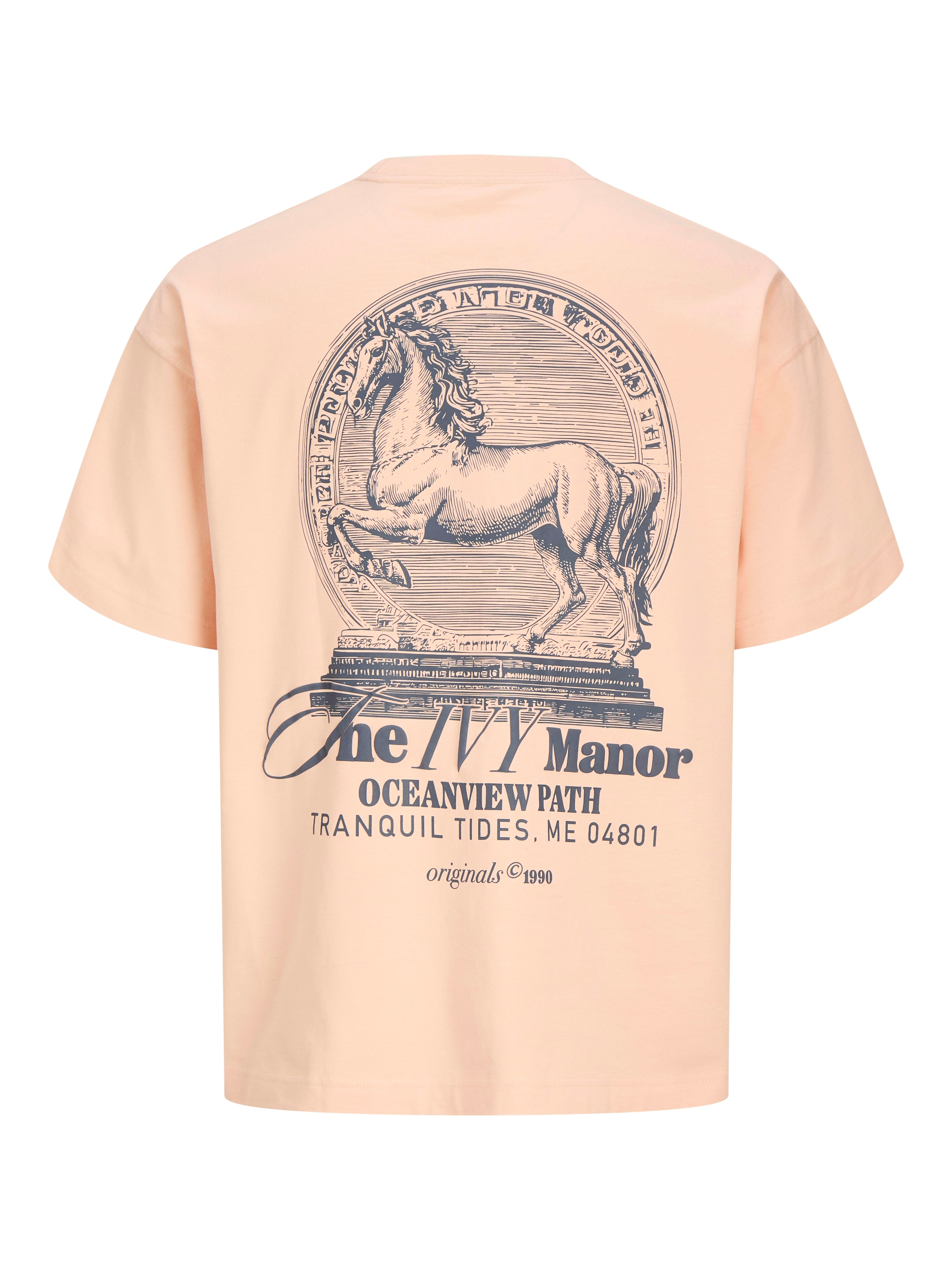 Jack & Jones Kurzarmshirt »JORMAINE BACK TEE SS CREW NECK SN« Baumwolle, relaxed fit