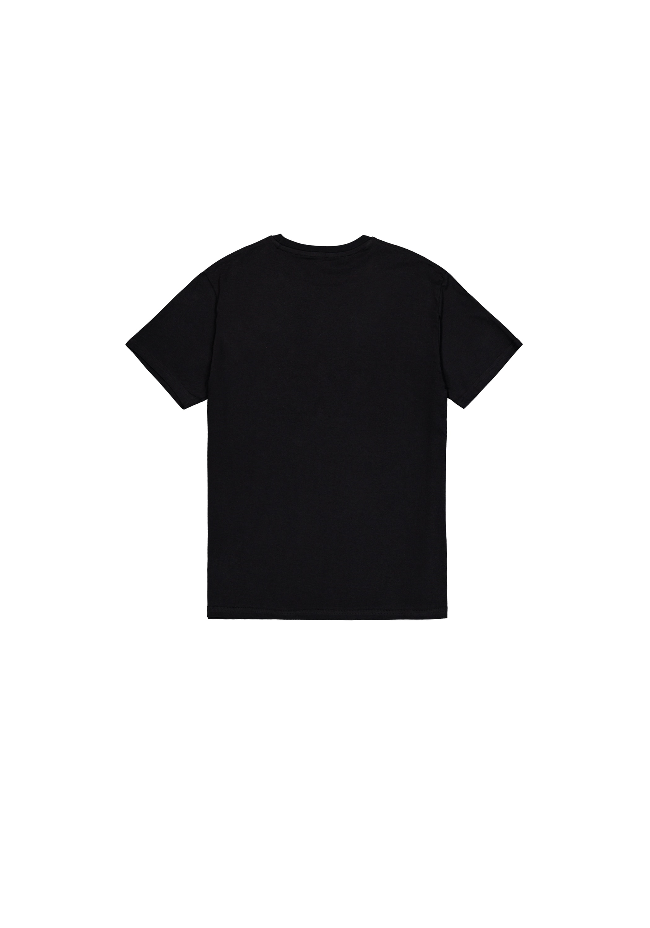 Alpha Industries T-Shirt »Alpha Label T-Shirt T-Shirt«
